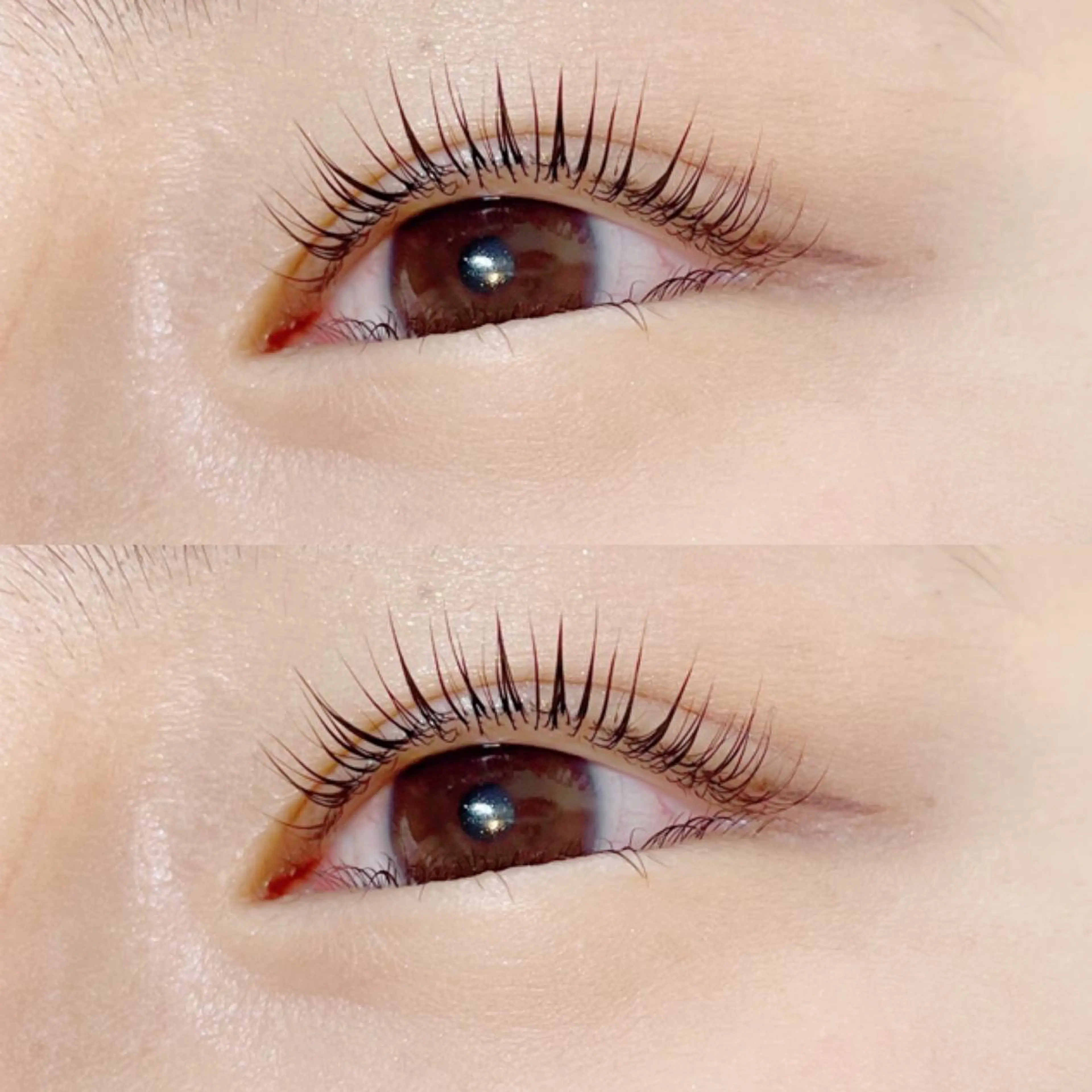 マツエク・マツパ パリジェンヌラッシュリフト デイジーラッシュ 大阪駅前第3ビルのマツエク・マツパデザイン