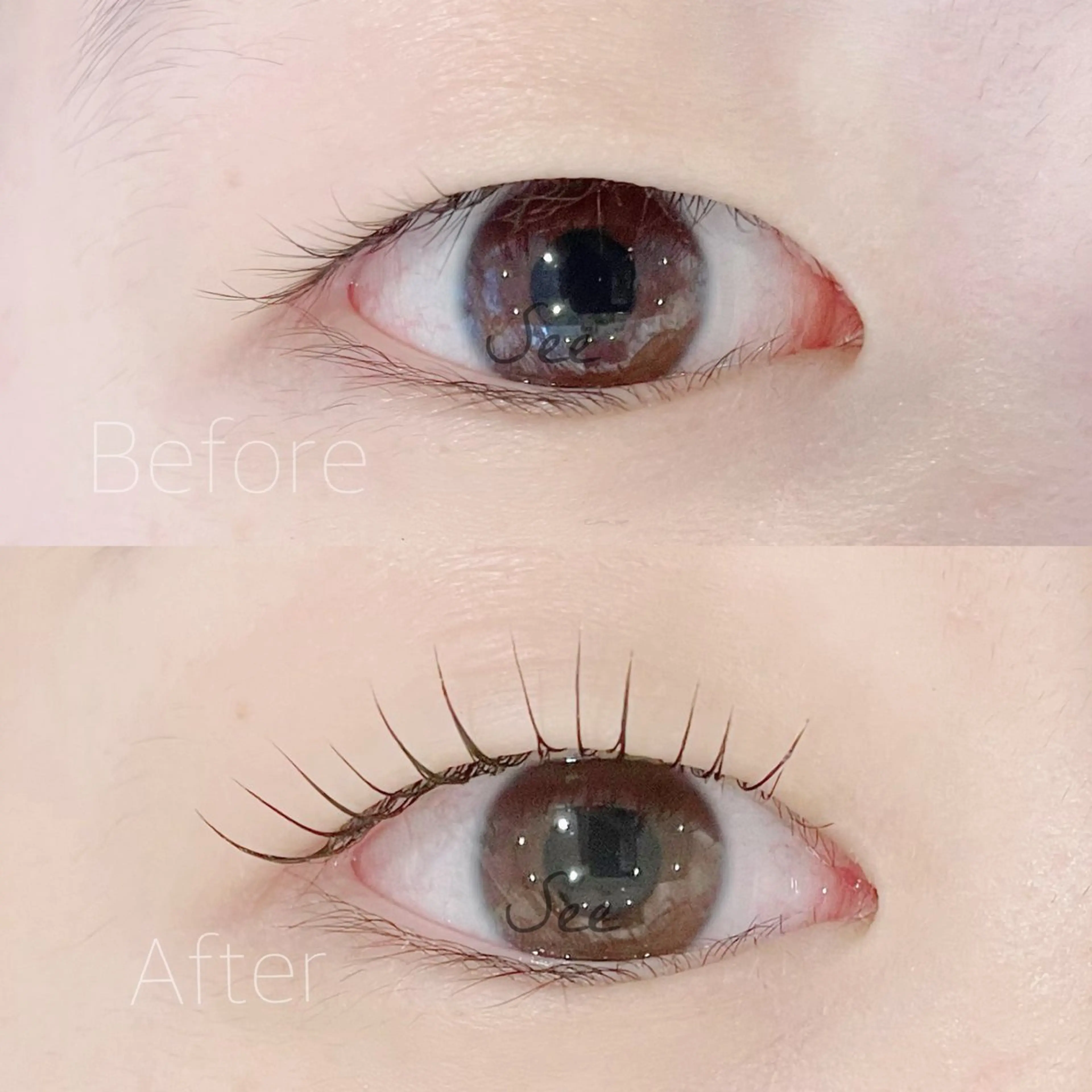 マツエク・マツパ フラットラッシュ パリジェンヌラッシュリフト まつげパーマ 一重×まつ毛パーマ ワンホンマツエク See所属・似合わせ施術👀眉/ まつ毛/miyu♡のマツエク・マツパデザイン