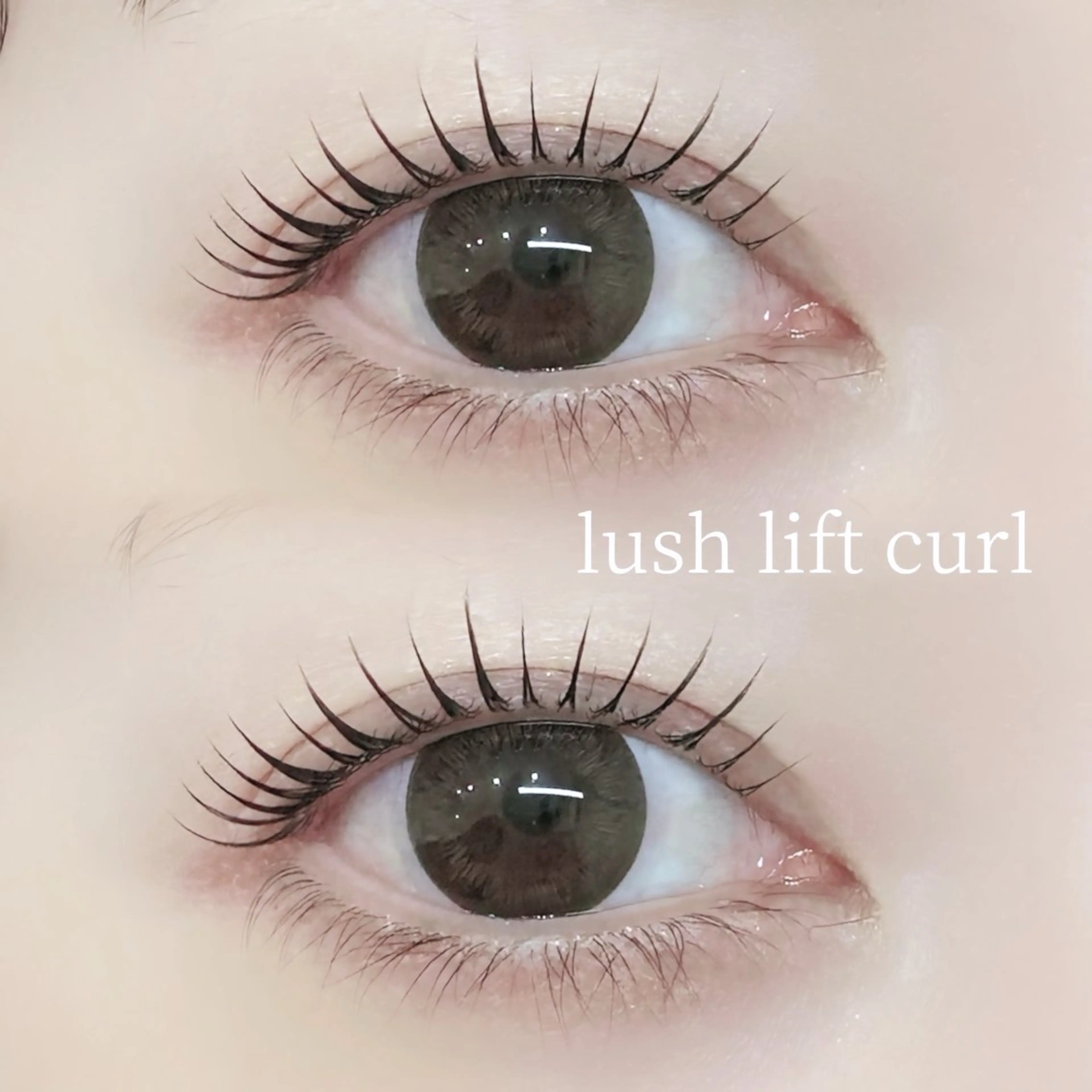 【4月平日限定💞】パリジェンヌorラッシュリフト¥5500→¥5200の写真