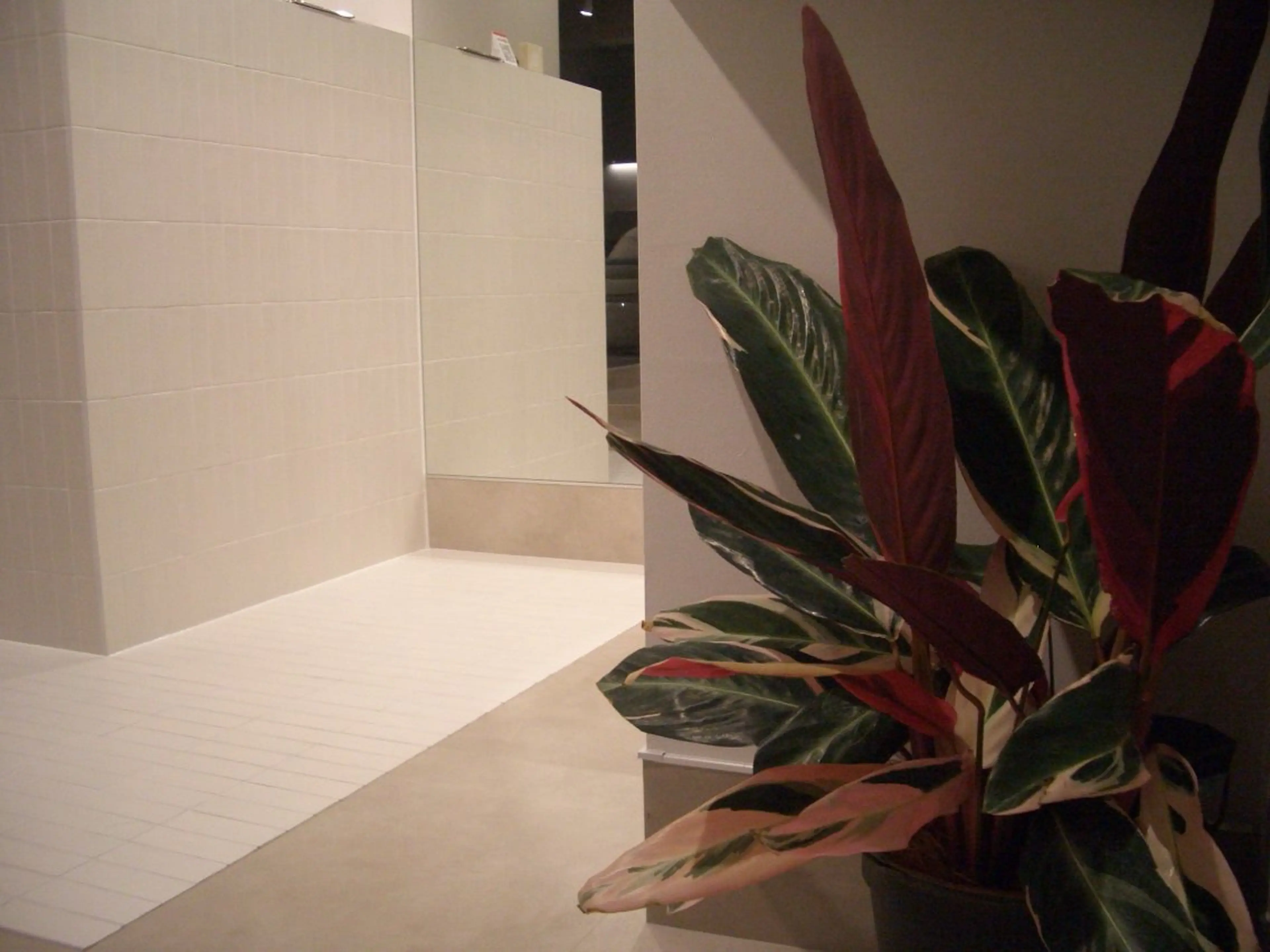 ワタナベ ヒヨリのヘアスタイル