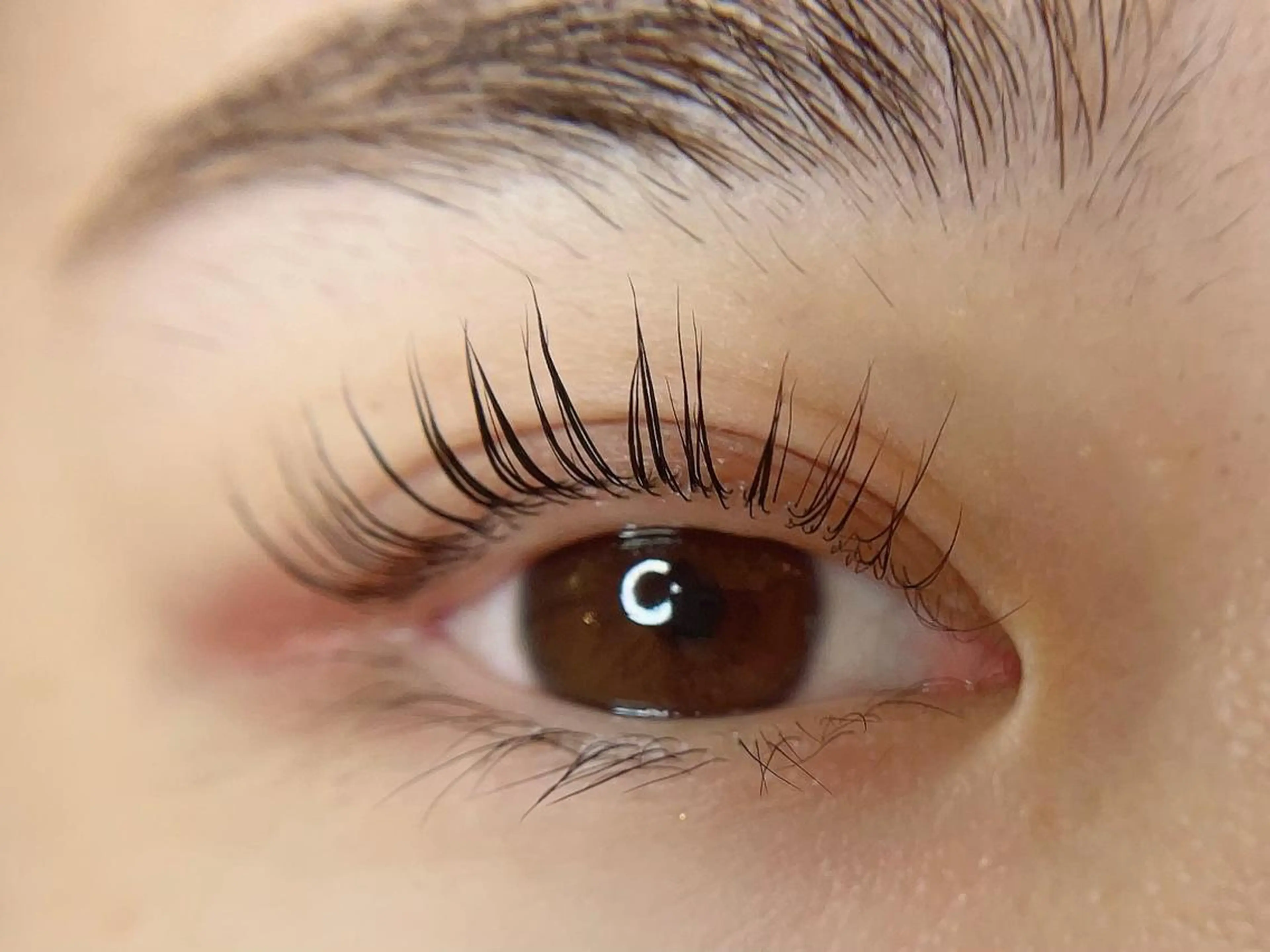 今月限定☆☆次世代パーマ　パリジェンヌラッシュリフト♪【現金のみ】女性のみの写真