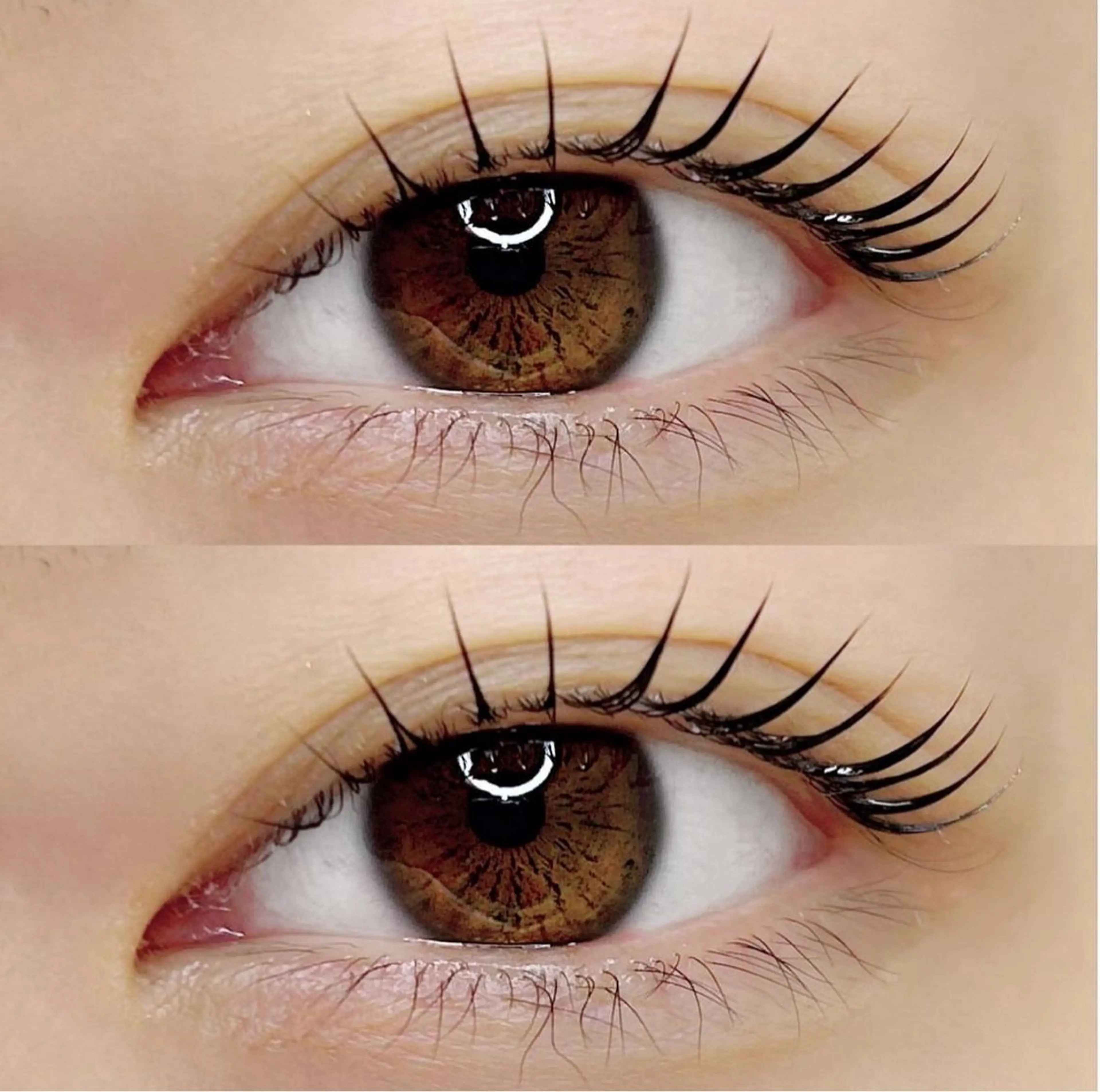 【‪🧊ご新規様限定価格🧊】超割引クーポン💖まつ毛パーマの写真