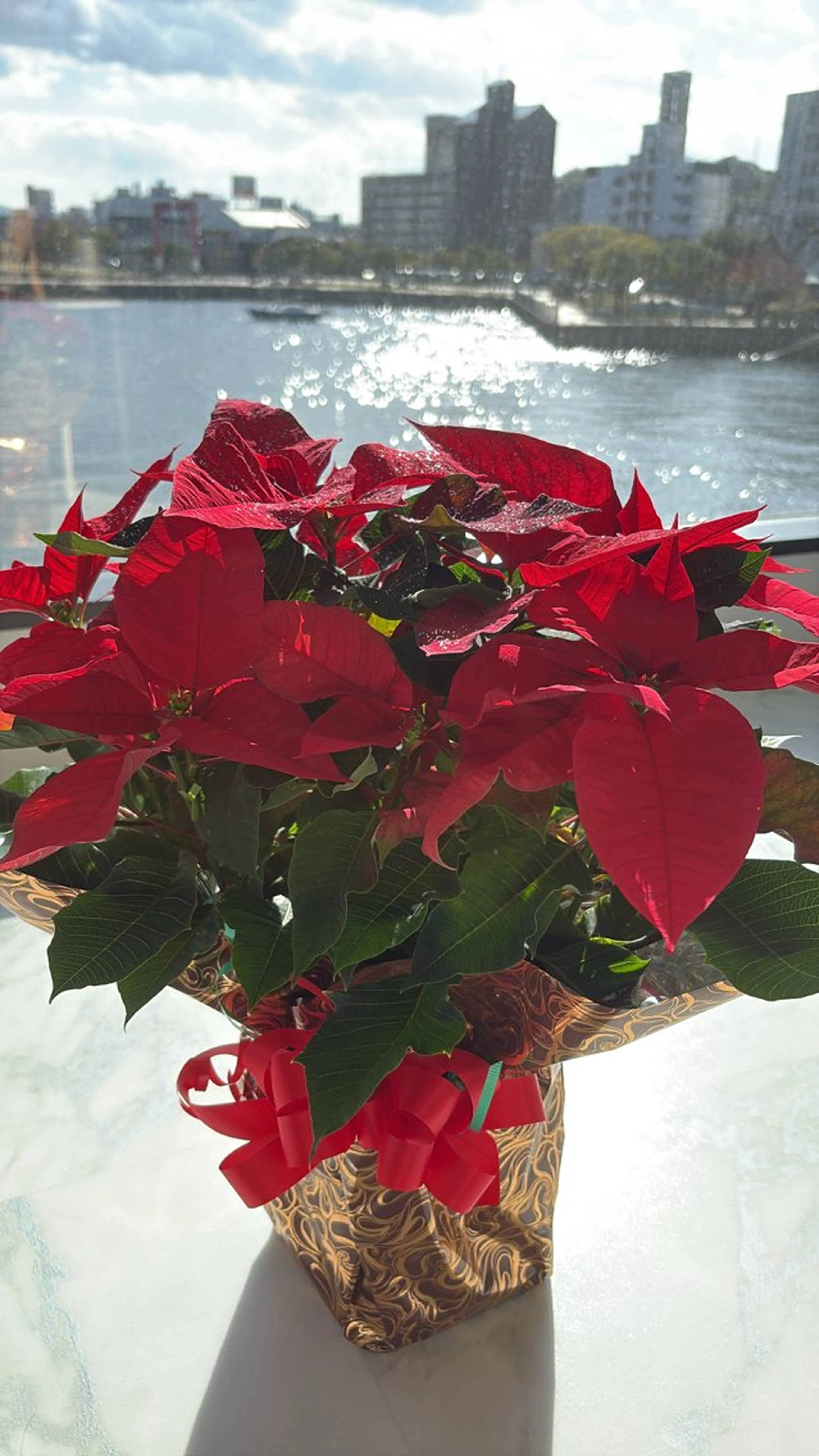 Private Salon S.Nail所属・S.Nail 𓏲⋆🪸.⋆⸜🫧のネイルデザイン