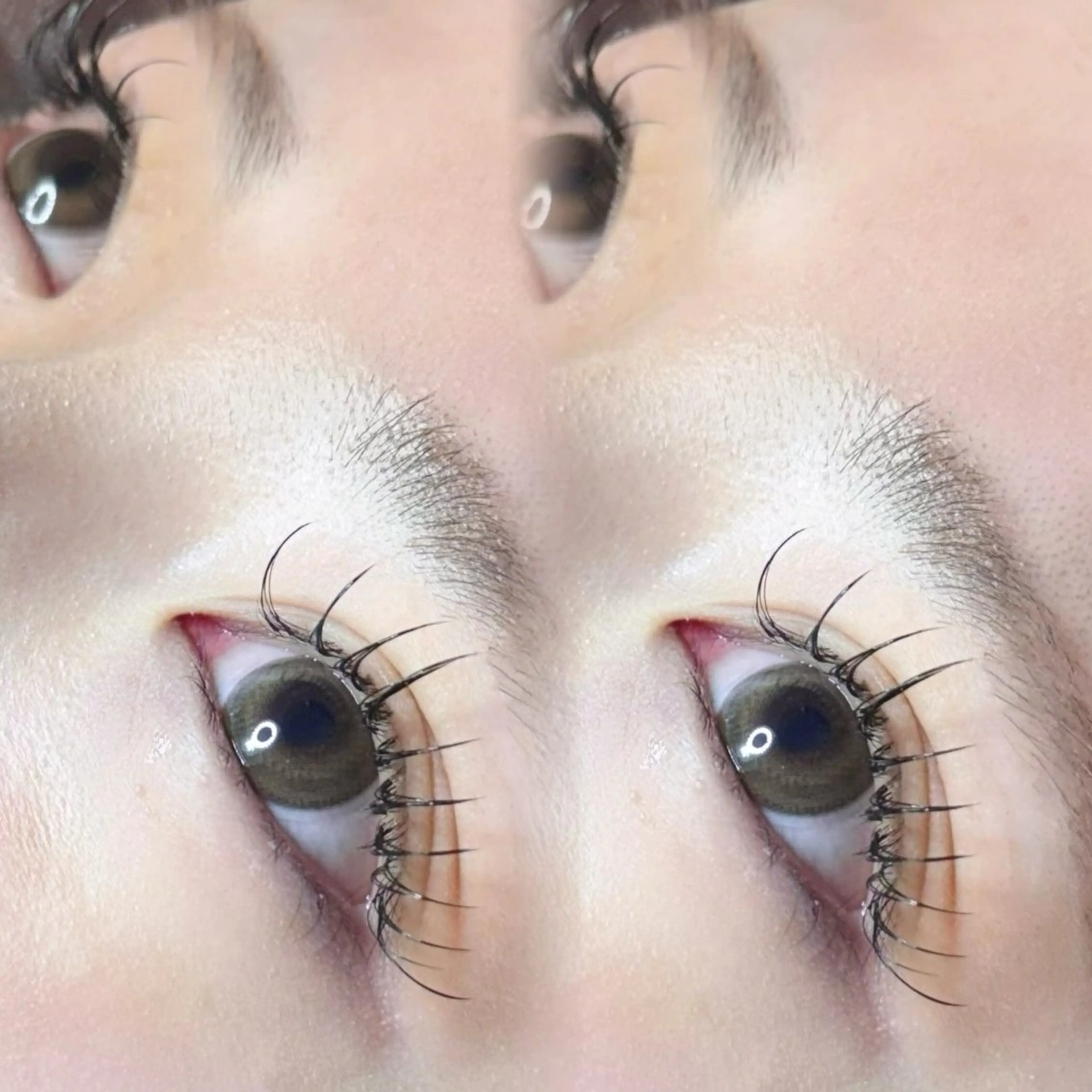 【🤍80本まで付け放題🤍】マツエク(オフ込)＋束感コーティング🎀💕¥1650の写真