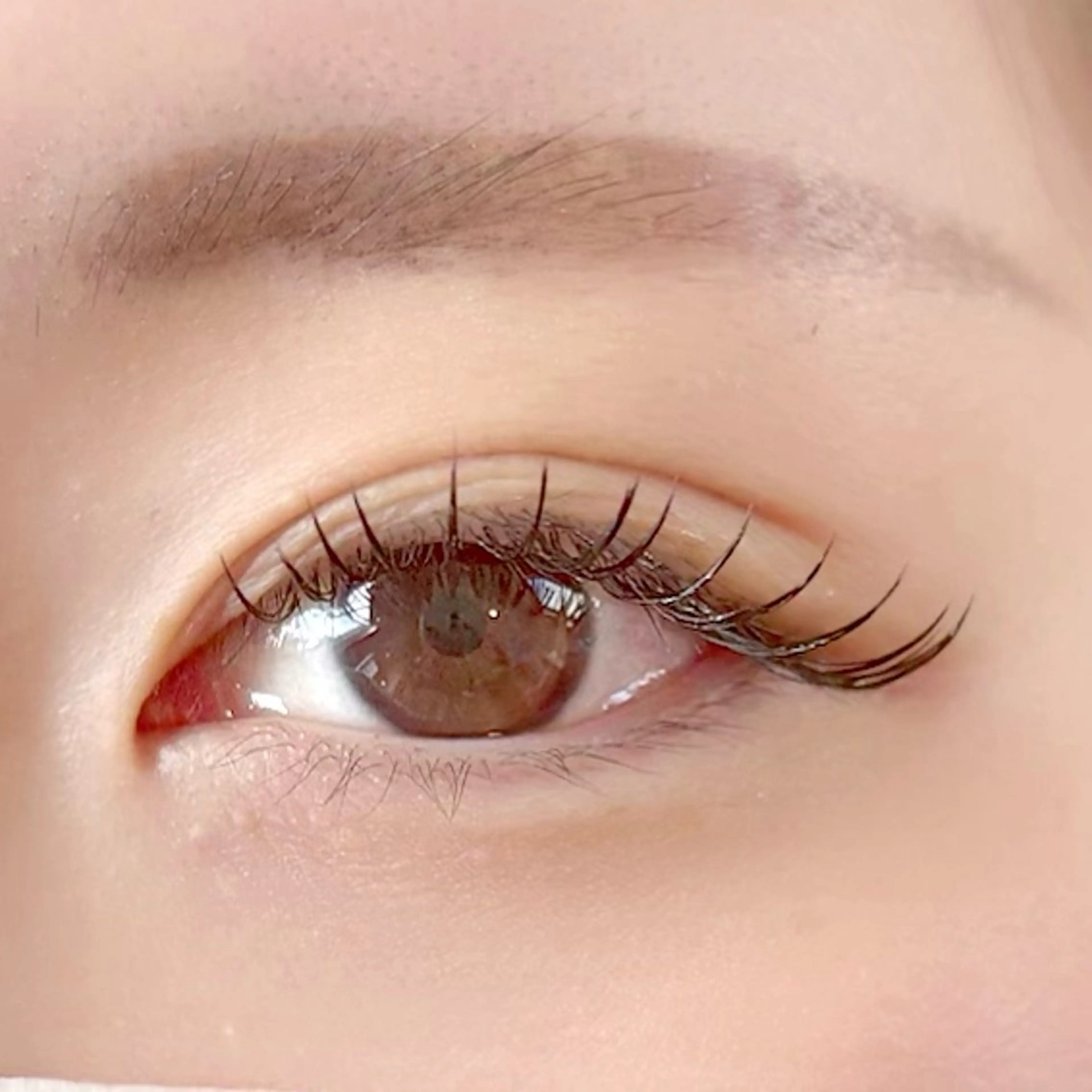 マツエク・マツパ フラットラッシュ まつげパーマ/眉毛 ［ALBA］のマツエク・マツパデザイン