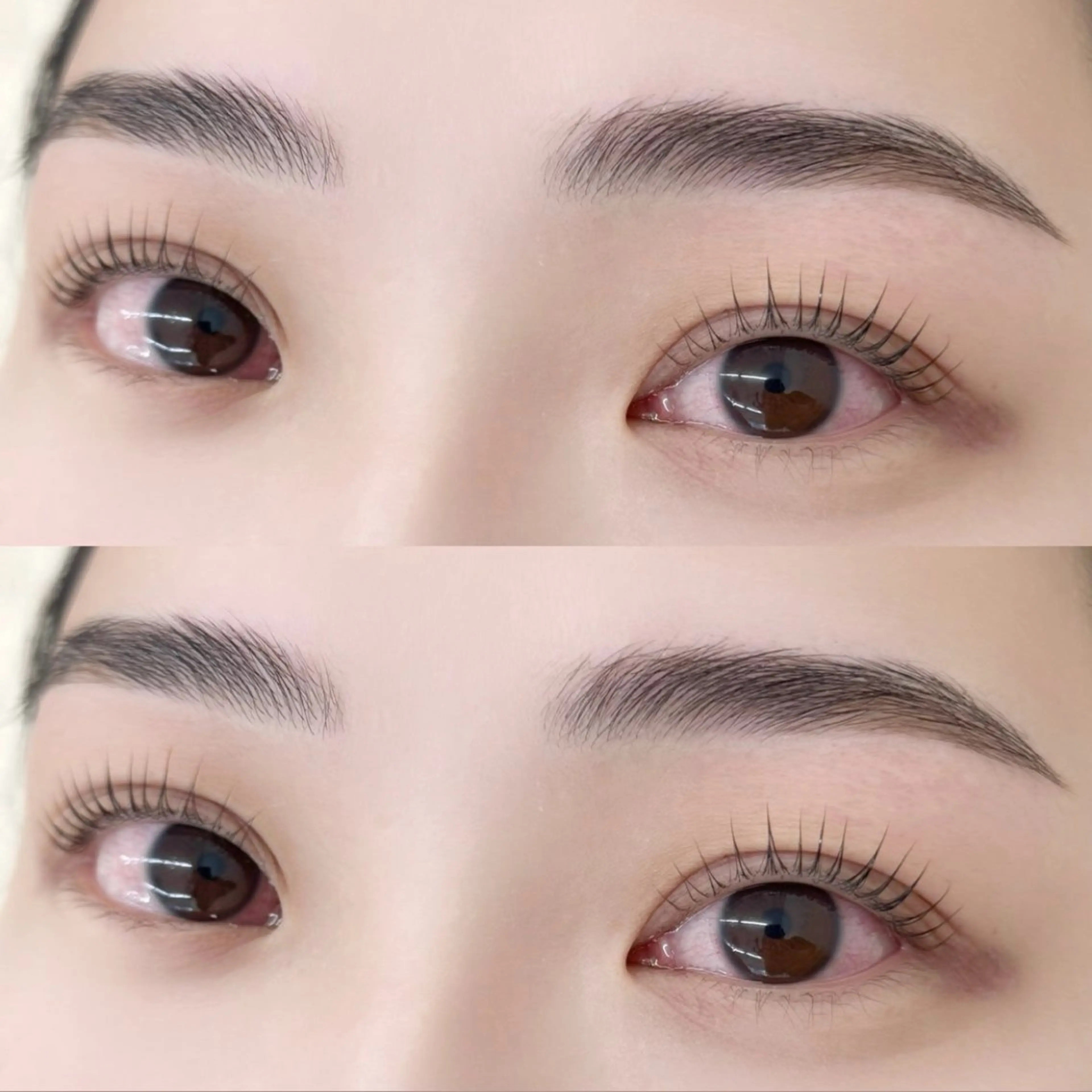 🫧ハリウッドブロウリフト《アイブロウパーマ＋眉wax》パリジェンヌラッシュリフト《まつ毛》の写真