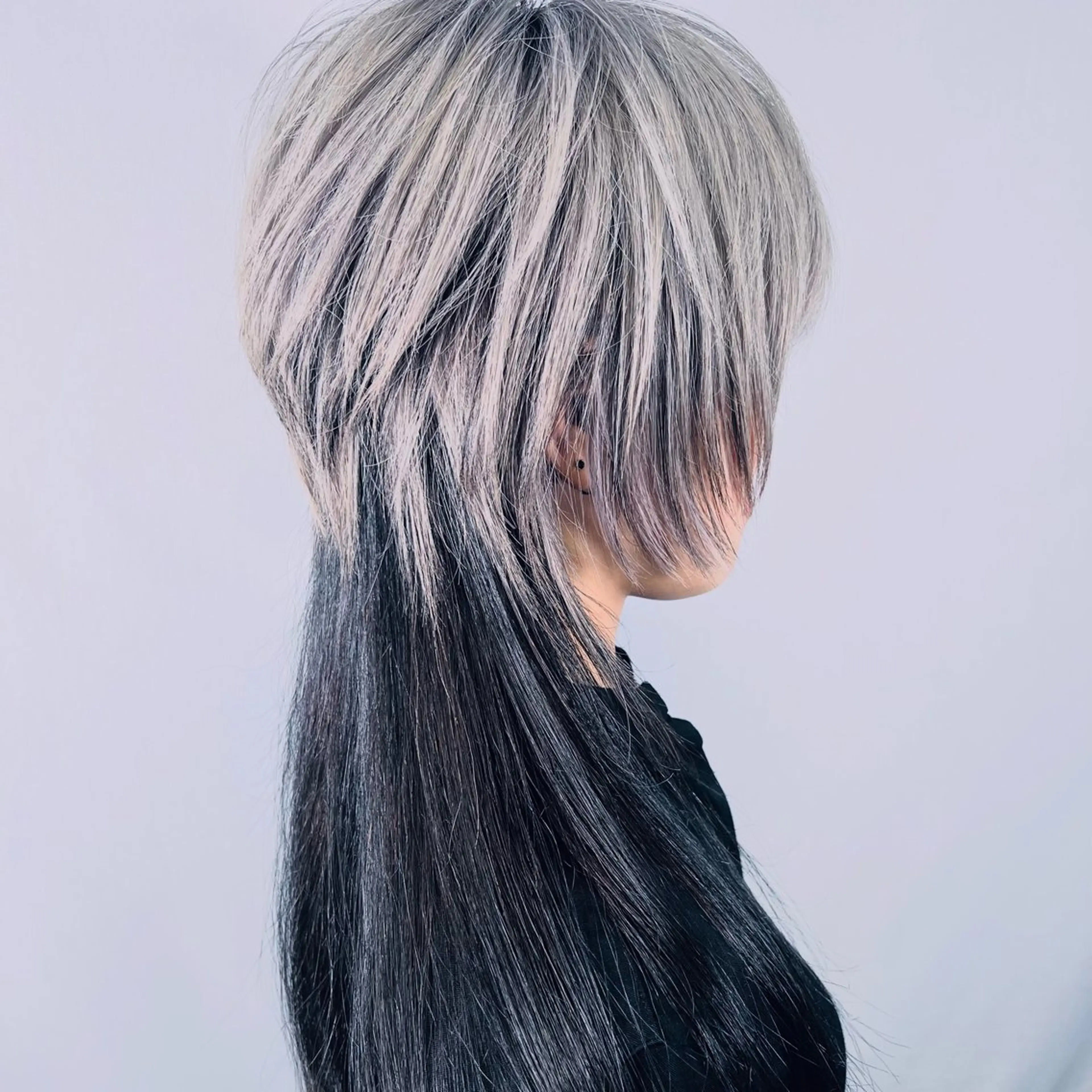 カラー デザインカラー シルバー ヘアカラー V系ウルフ/ホワイト ブリーチ/🐺Rinのヘアスタイル