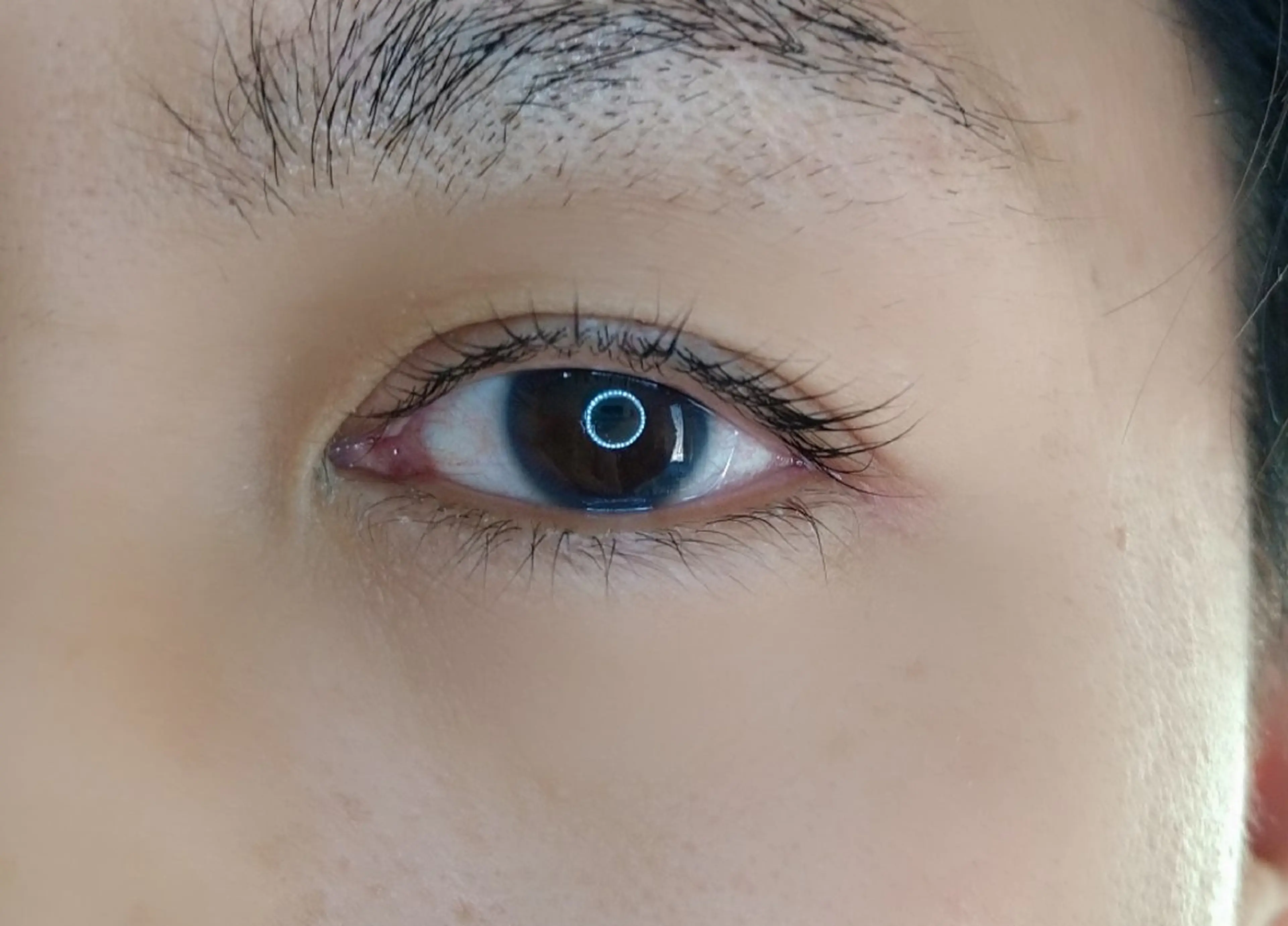 【メンズ対象】まつ毛パーマ！ミニモ限定ご新規様価格！の写真