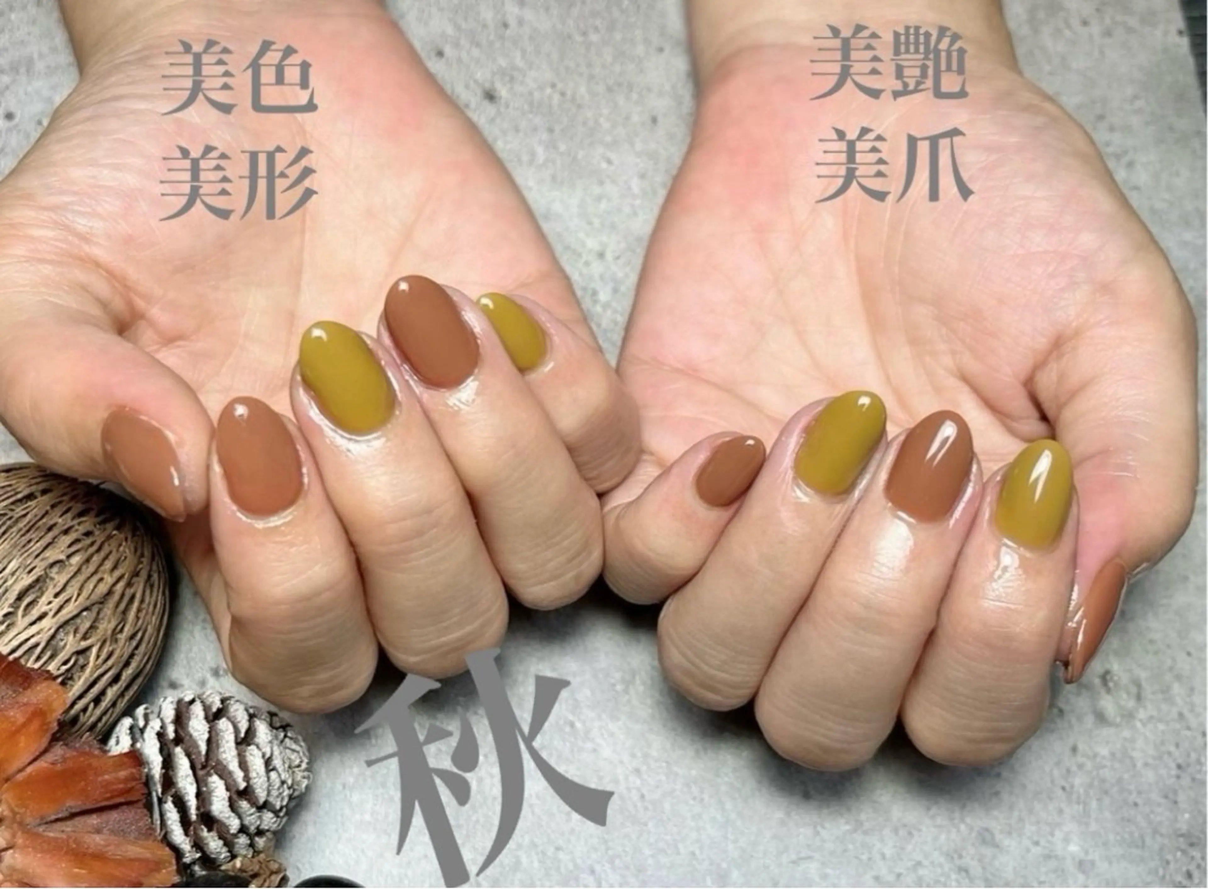 ネイル ジェルネイル パラジェル 🧸 Emiri🫧のマツエク・マツパデザイン