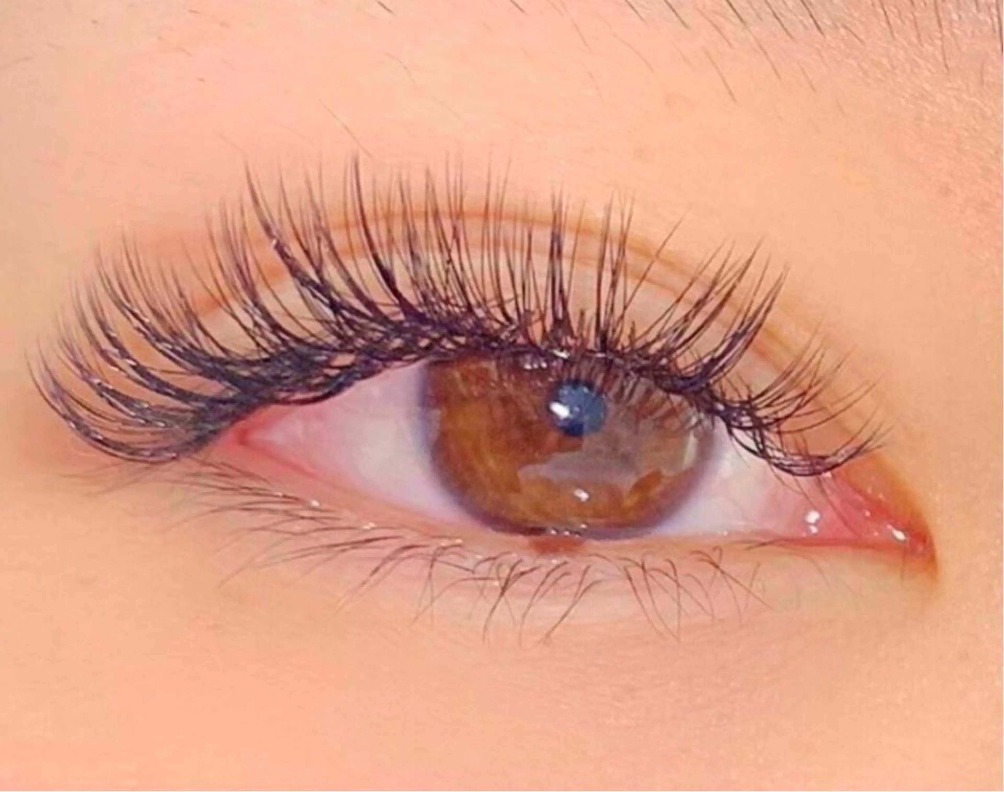 マツエク・マツパ まつ毛、ネイル& 脱毛サロン　Lのマツエク・マツパデザイン