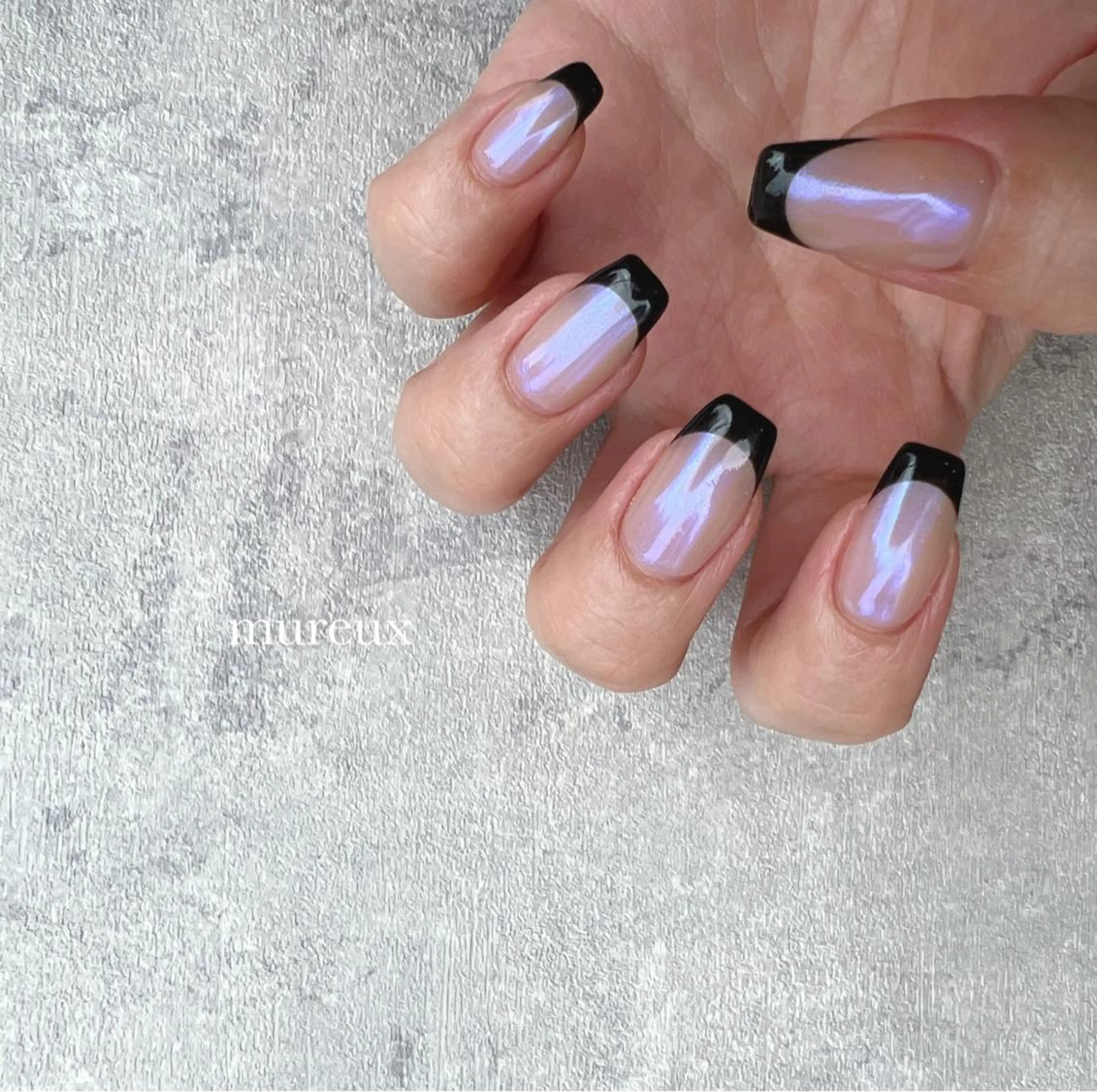 フレンチ(オフ有)の写真