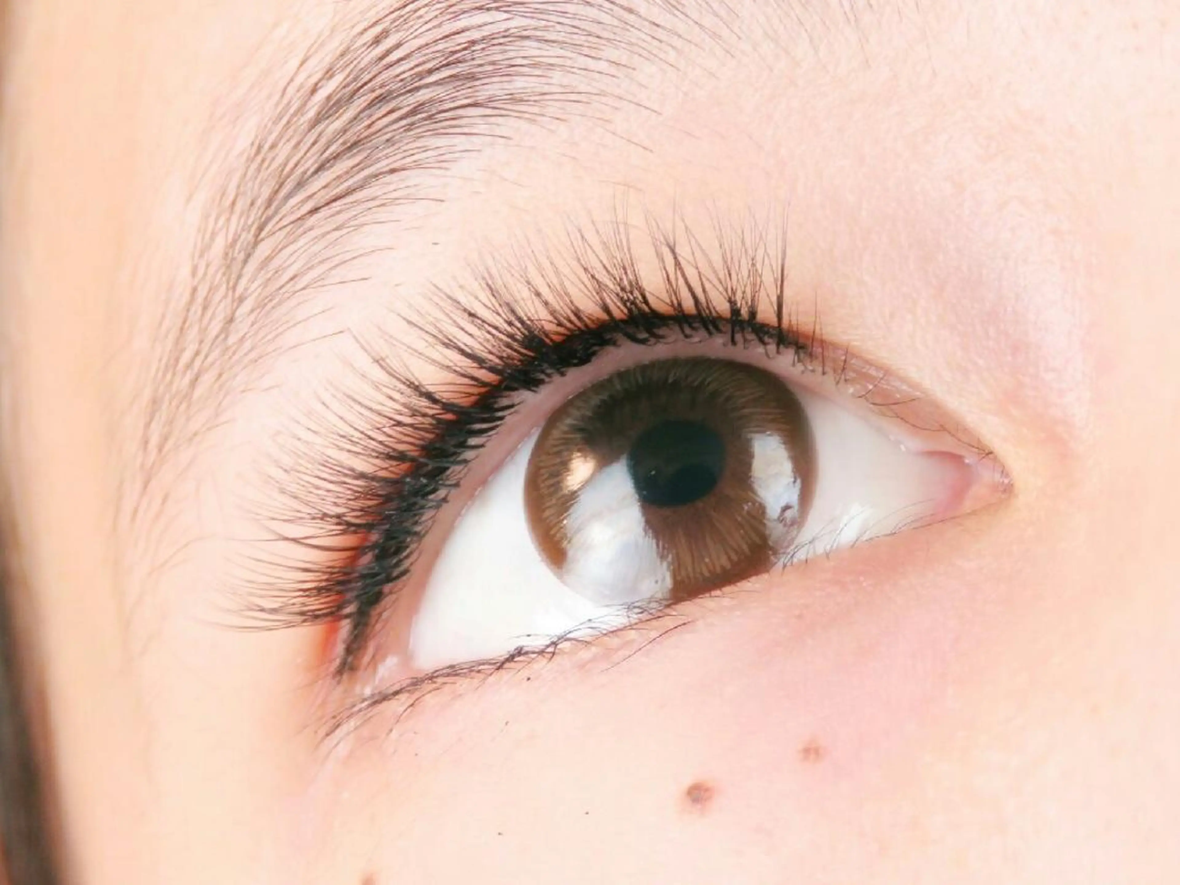 マツエク・マツパ Cカール ナチュラル ボリュームラッシュ salon:S 仙台店のマツエク・マツパデザイン