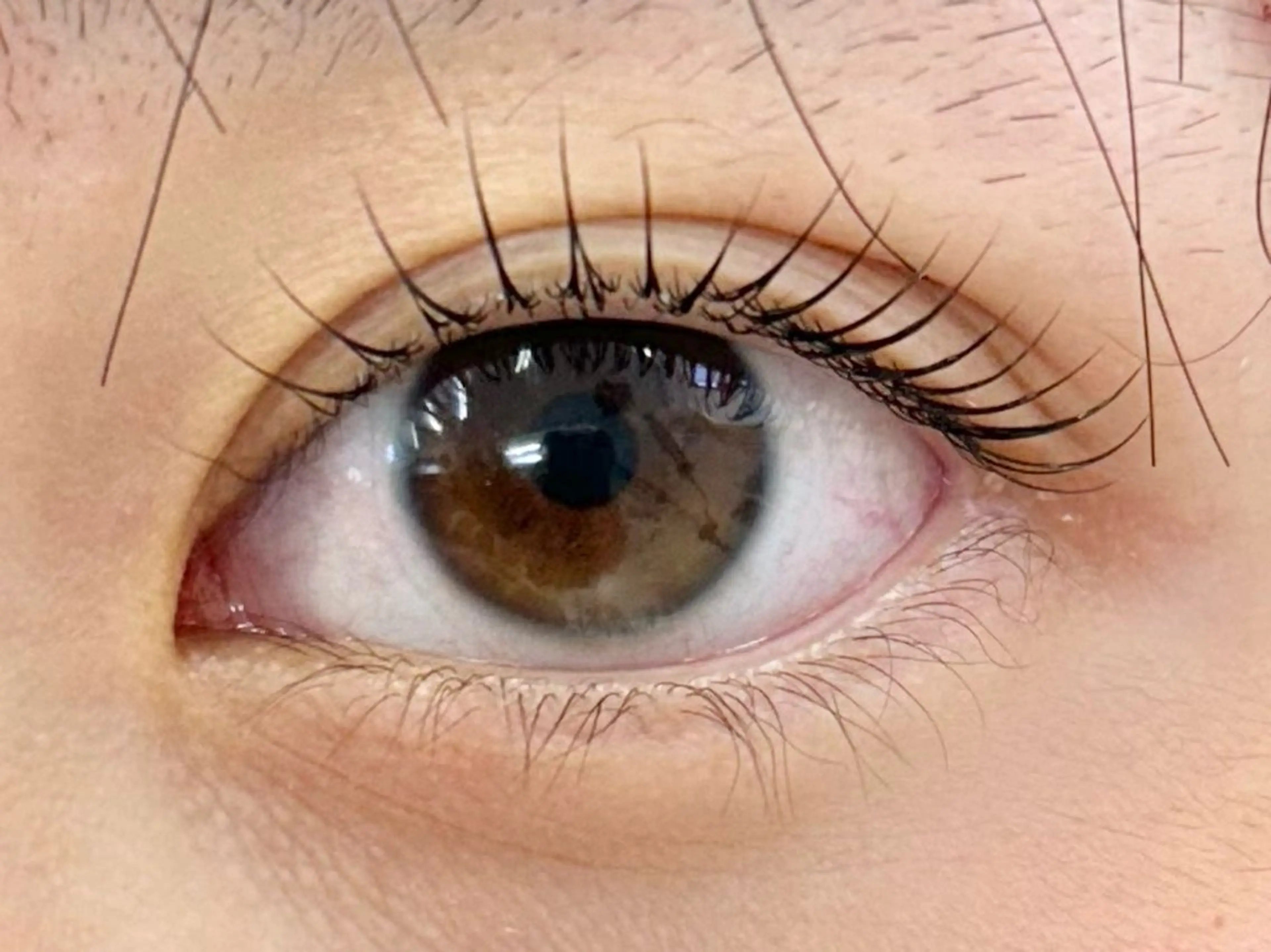 マツエク・マツパ マツパ Miroir Sunadaの眉毛・アイブロウイメージ