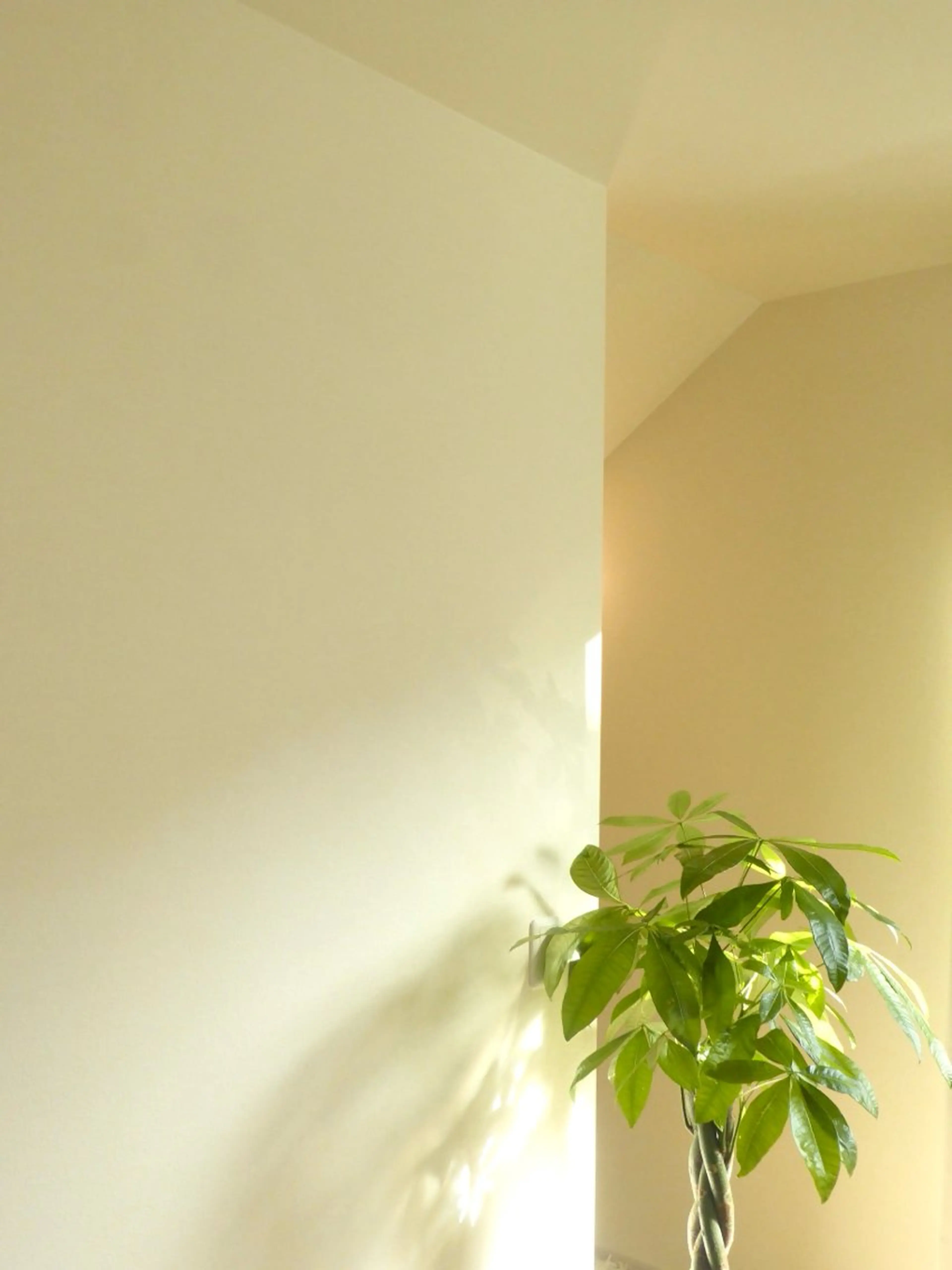 首肩ケア特化｜ 三ツ沢上町SORAのエステ・リラクイメージ