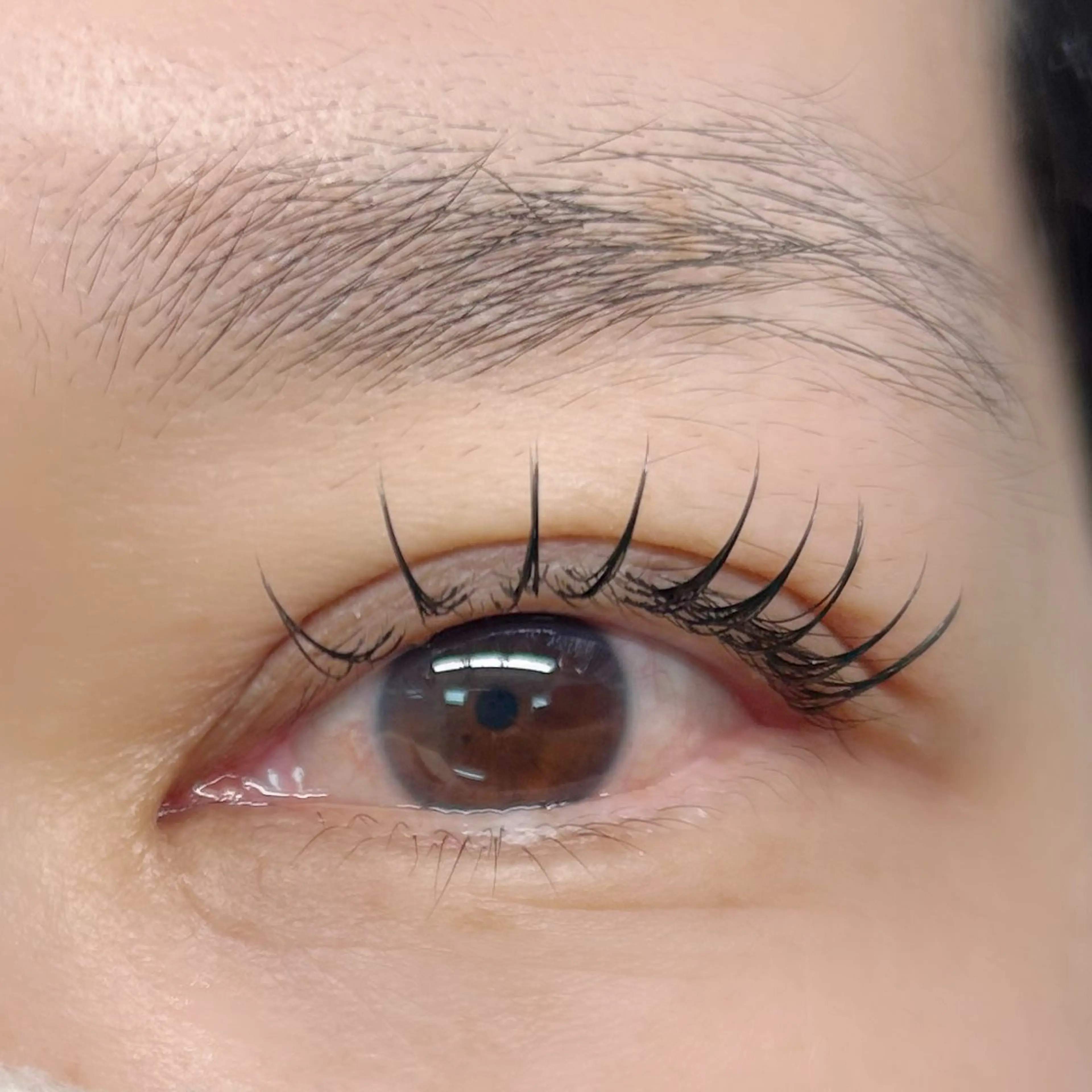 マツエク・マツパ ひがし 🐰🤍の眉毛・アイブロウイメージ