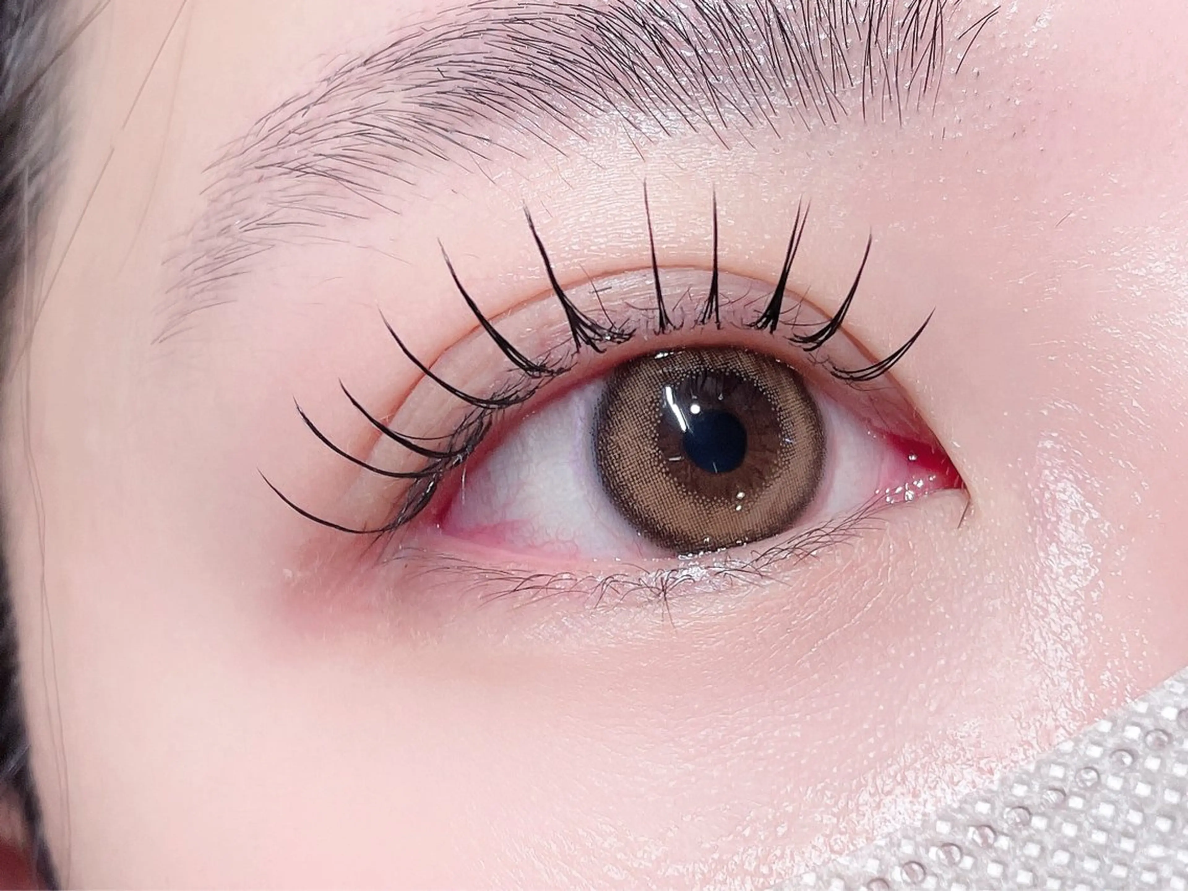 マツエク・マツパ マツエク 🎀Lino 中目黒 TAKAMI🐈のマツエク・マツパデザイン