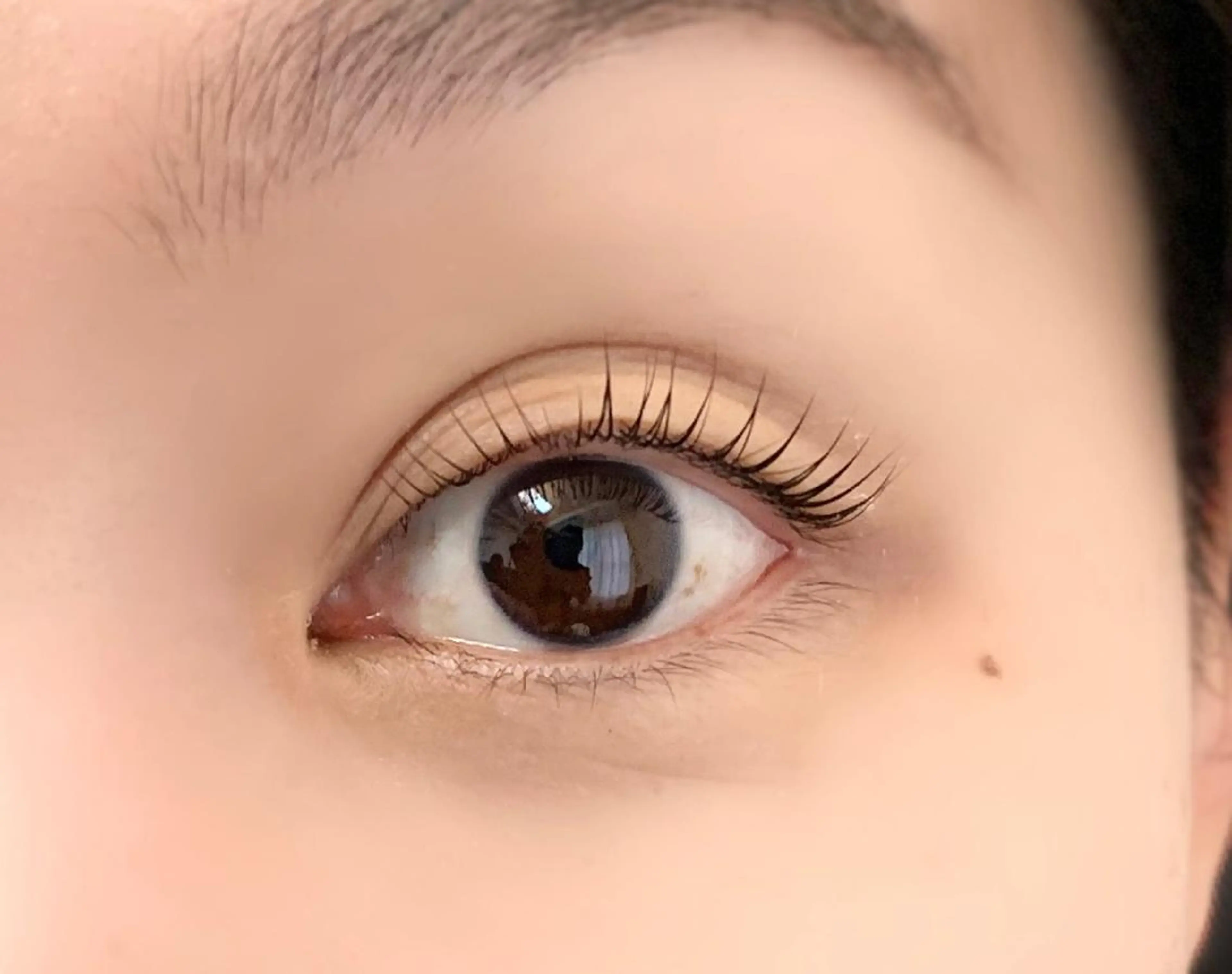 マツエク・マツパ パリジェンヌラッシュリフト マツパ 🏅国際大会受賞 Chouchouのマツエク・マツパデザイン