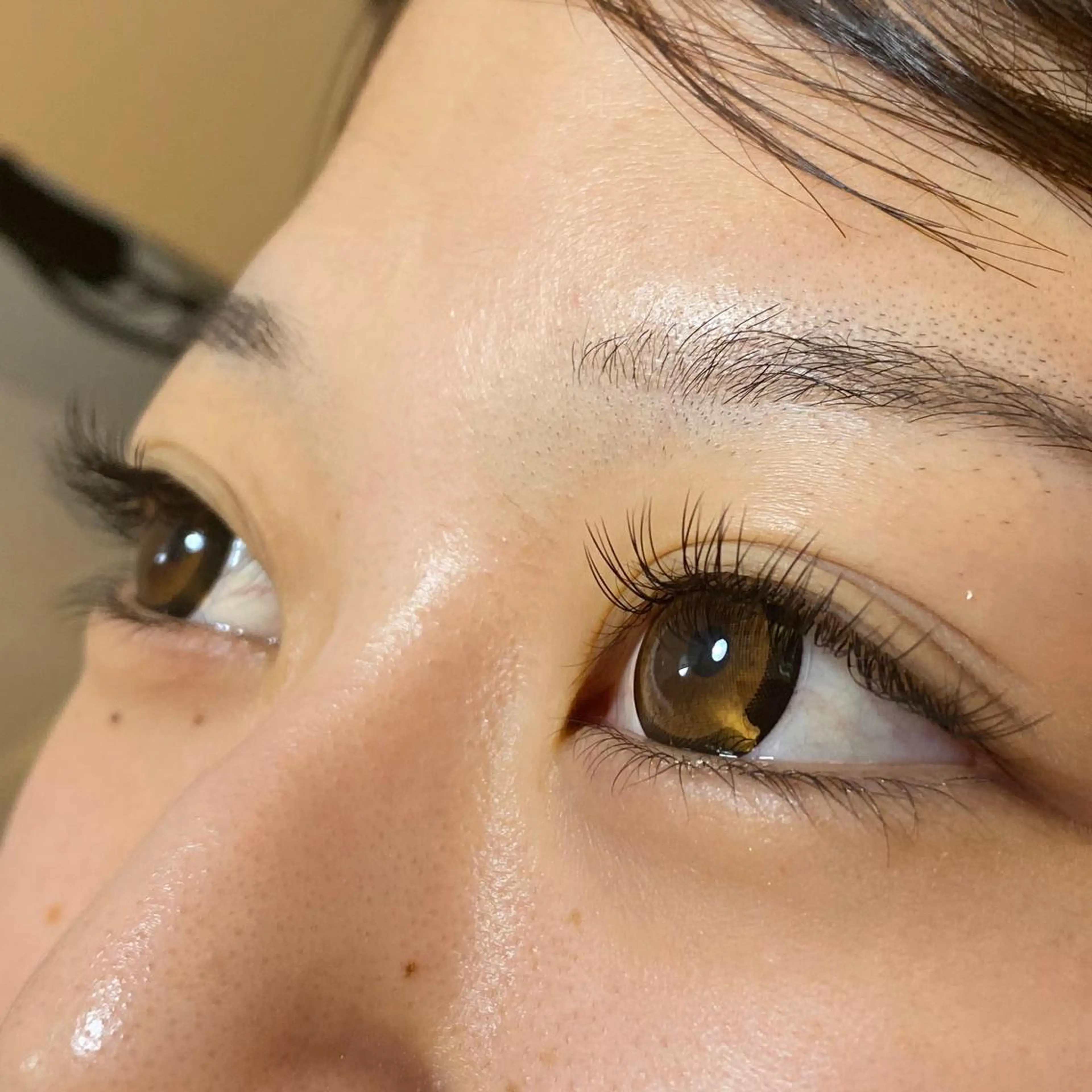 【オフ込】フラットラッシュ120本🌿当店･他店付け足しOK🙆‍♀️の写真