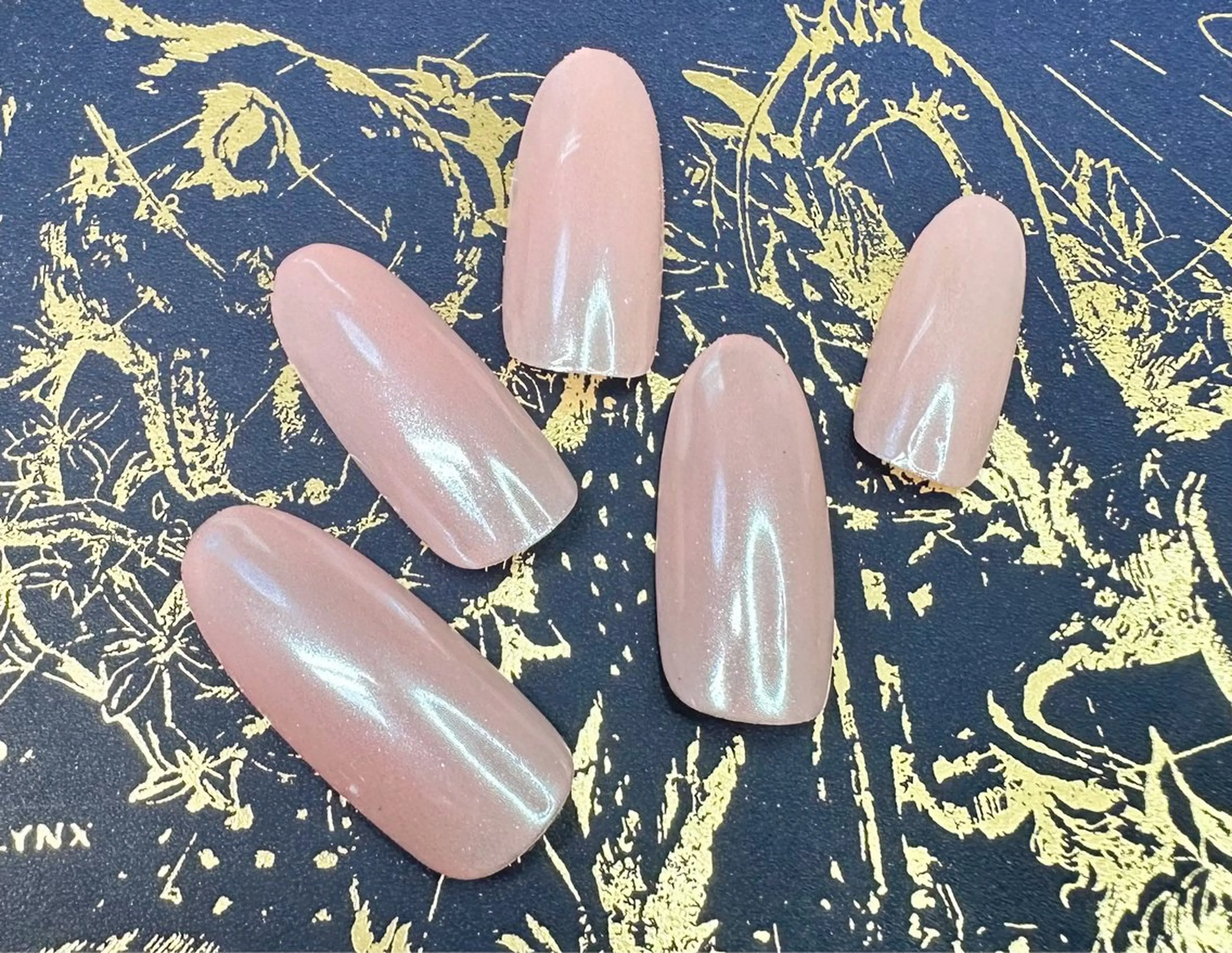 ✨オフ込み✨艶ヴェールネイルの写真