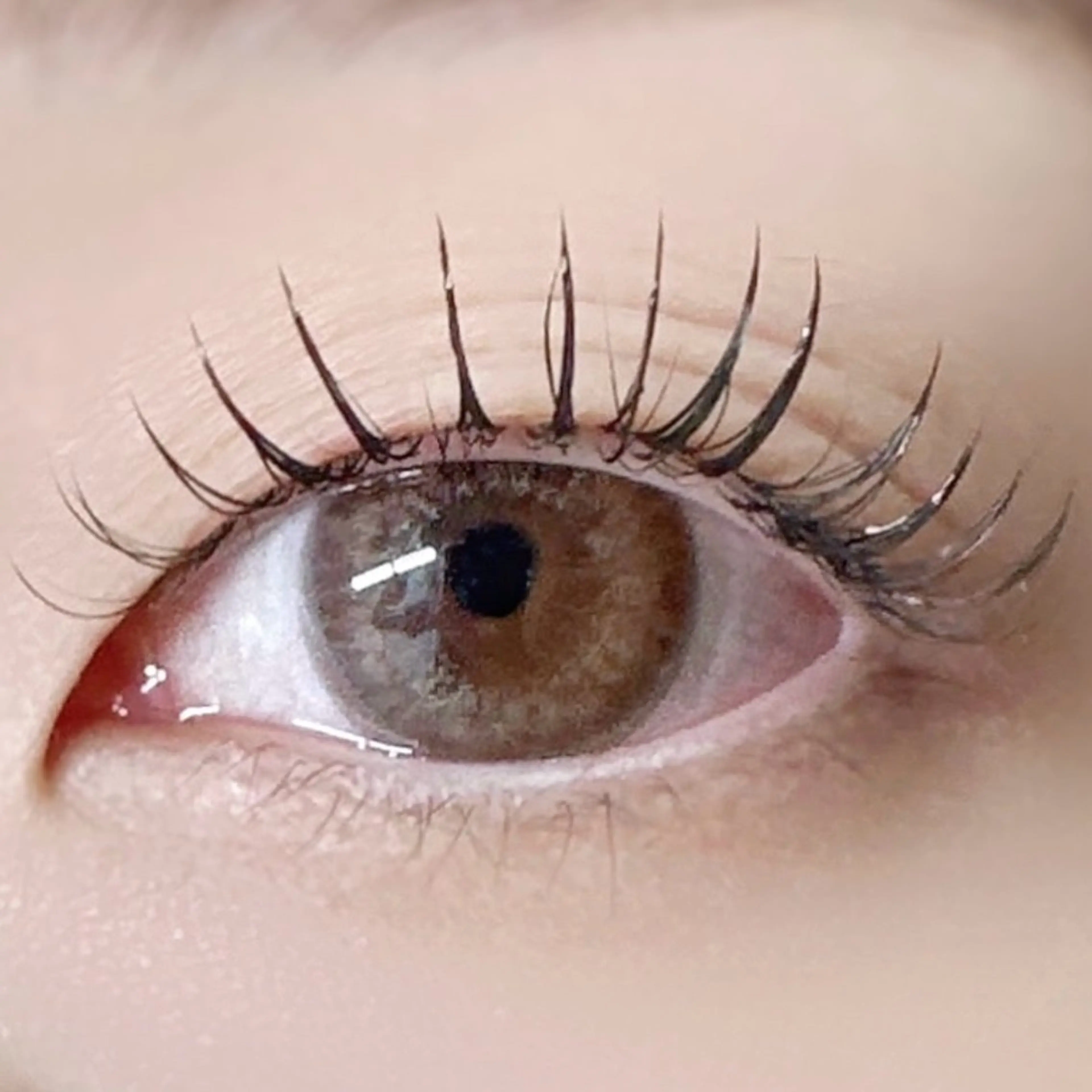 マツエク・マツパ フラットラッシュ マツエク マツエク専門店 cyunaのマツエク・マツパデザイン