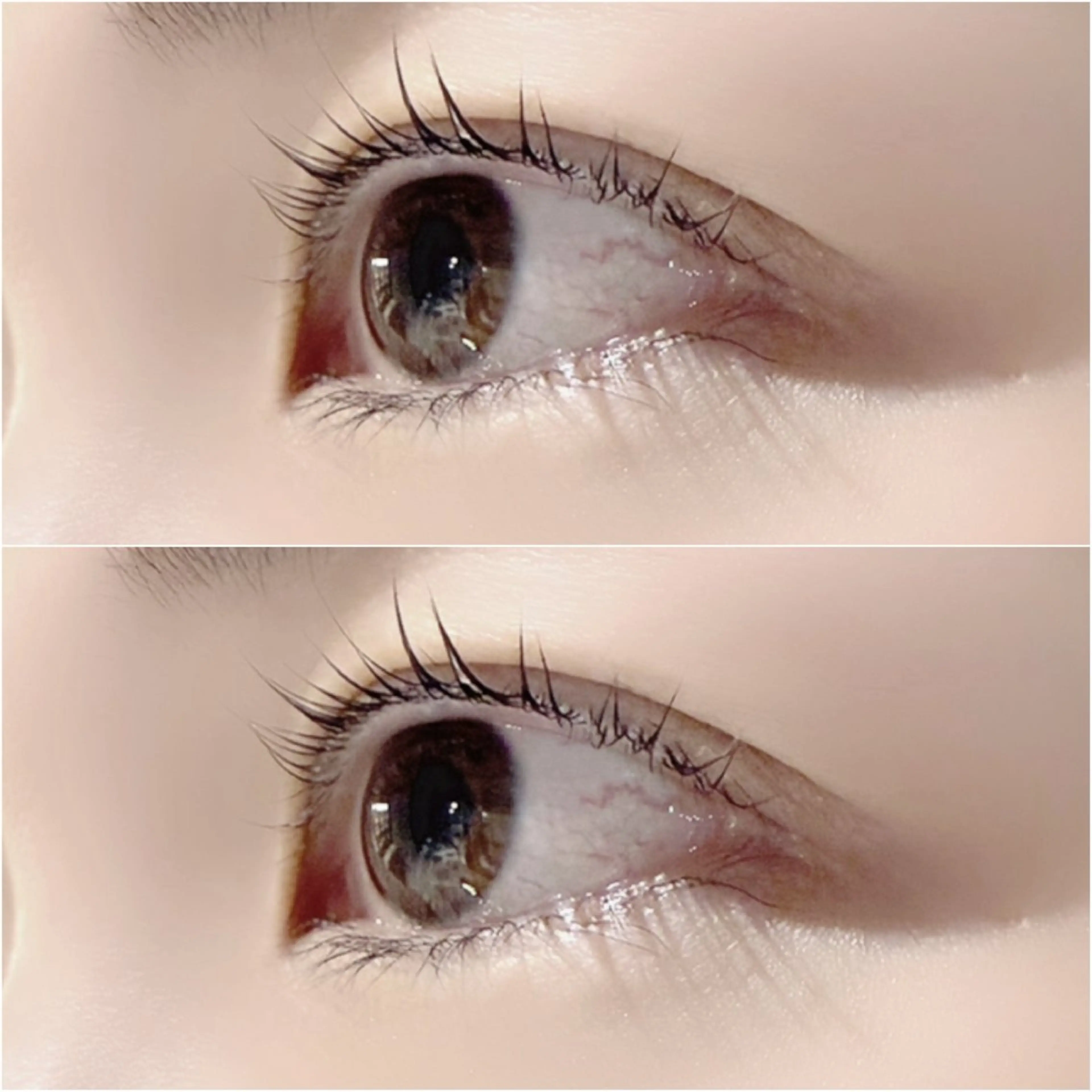 マツエク・マツパ まつげパーマ マツパ まつパまつエク❥❥ アズミ/金剛駅🌷のマツエク・マツパデザイン