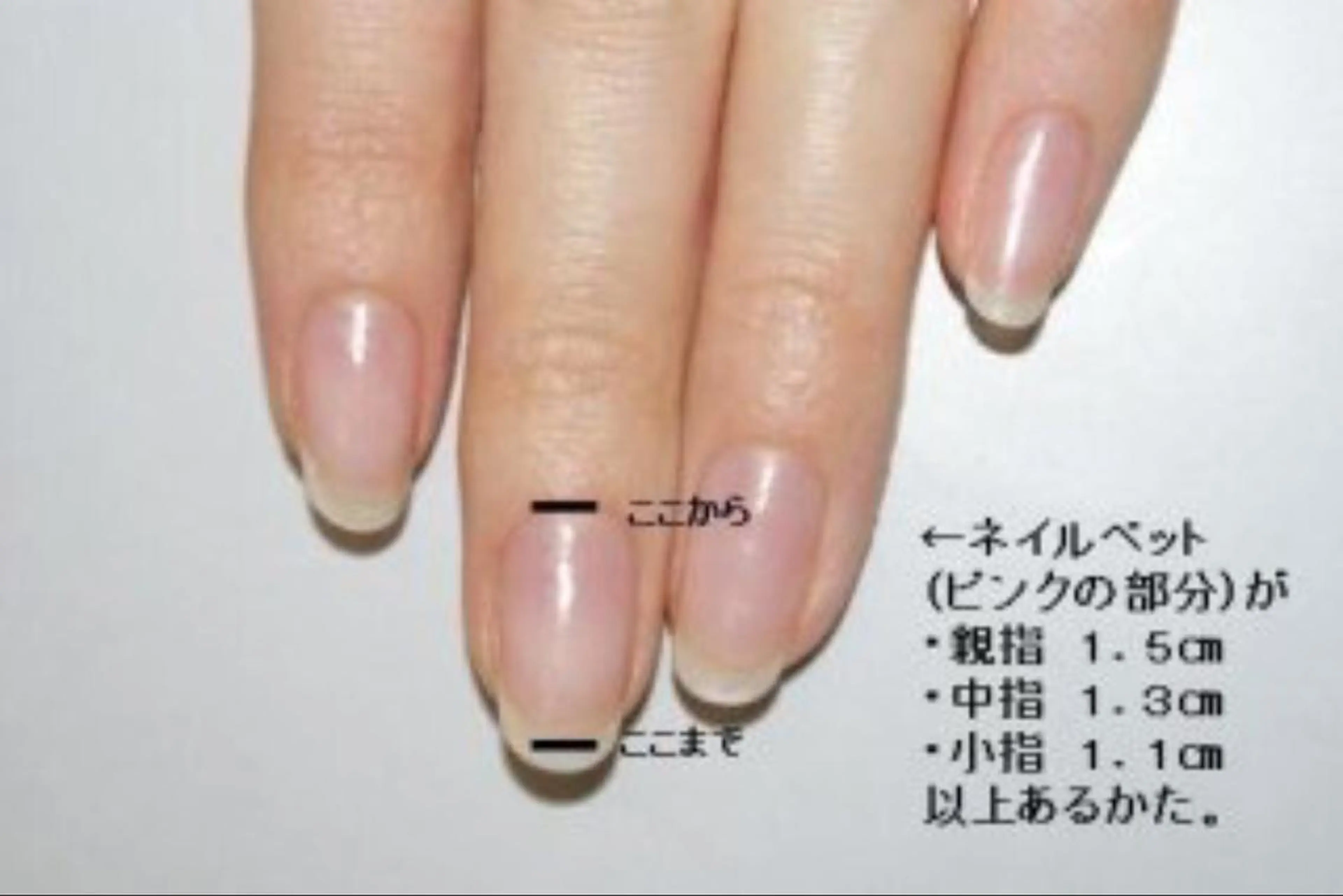 ネイル ジェルネイル ピンク スカルプネイル ARTスクールサロン お・タマゴのネイルデザイン