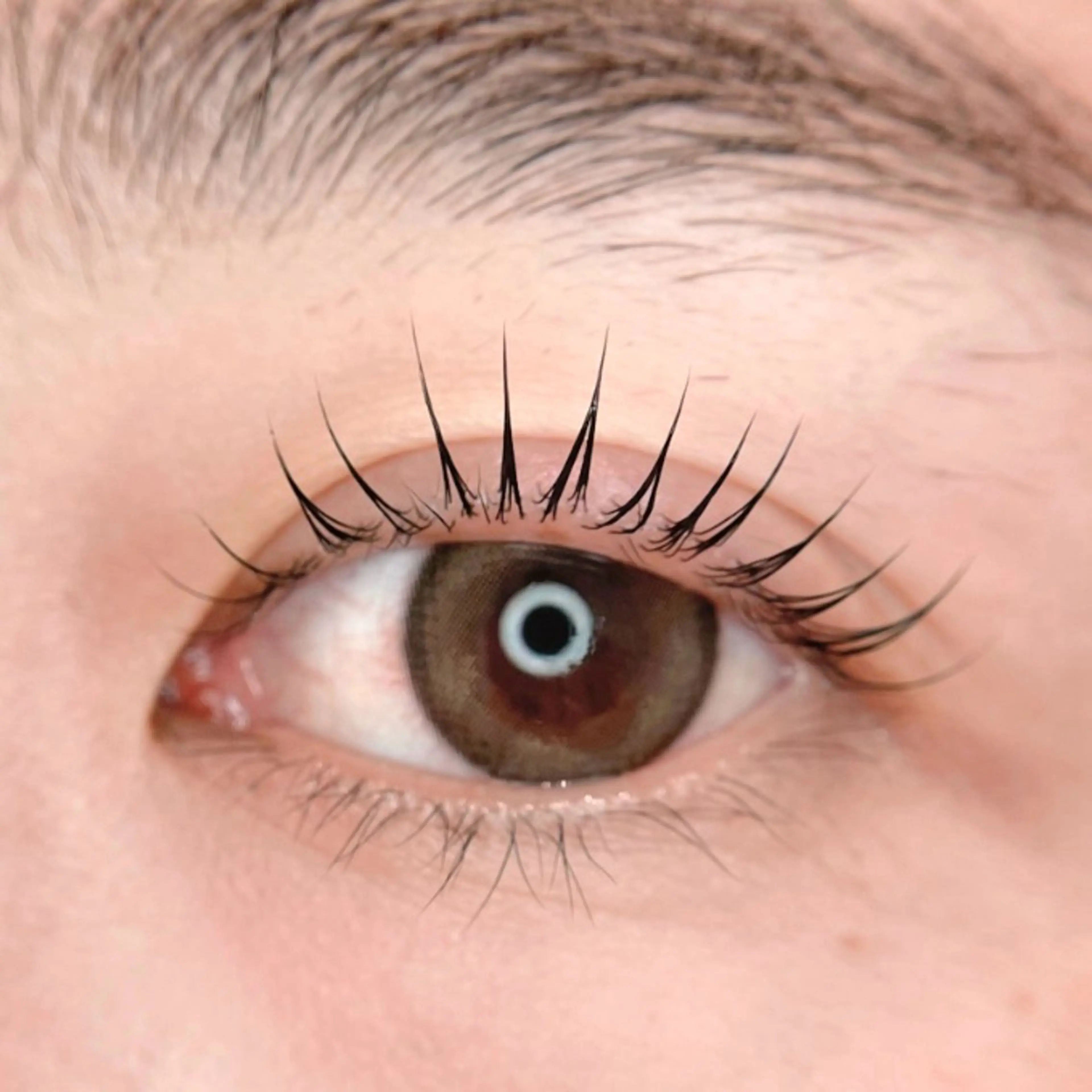 マツエク・マツパ Froh Ogasawaraのマツエク・マツパデザイン