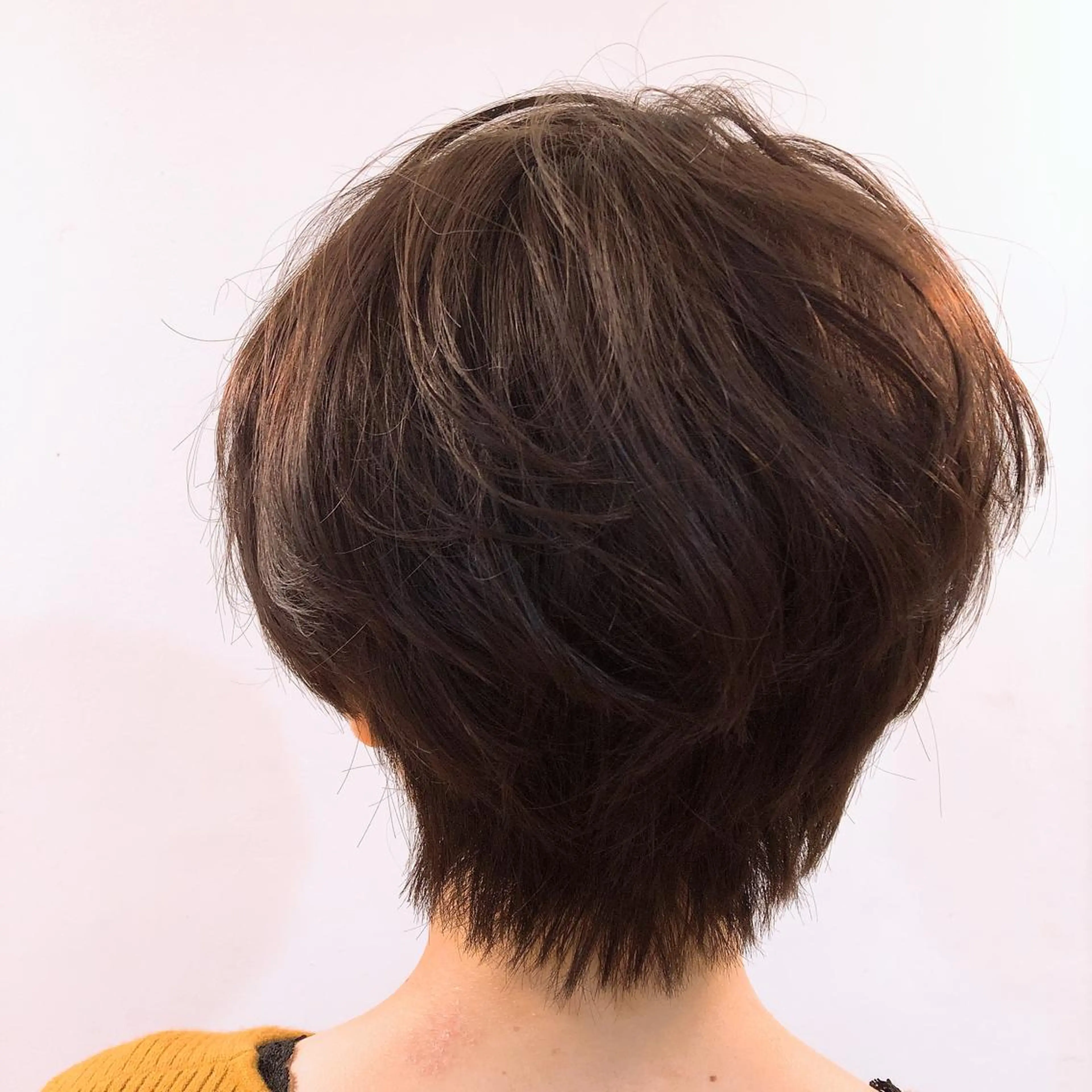 ショート 塩崎 春香のヘアスタイル