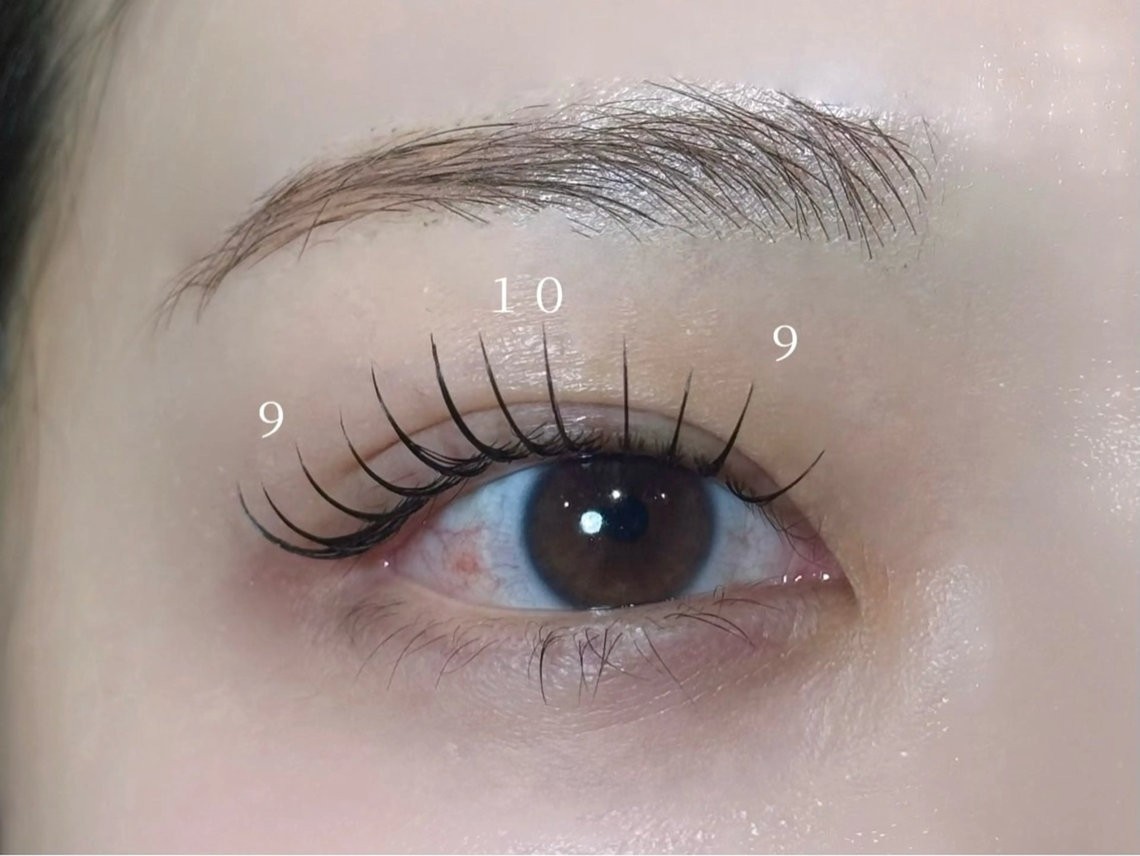 マツエク・マツパ マツエク 🌷JUNNA🌷 銀座アイリストの眉毛・アイブロウイメージ