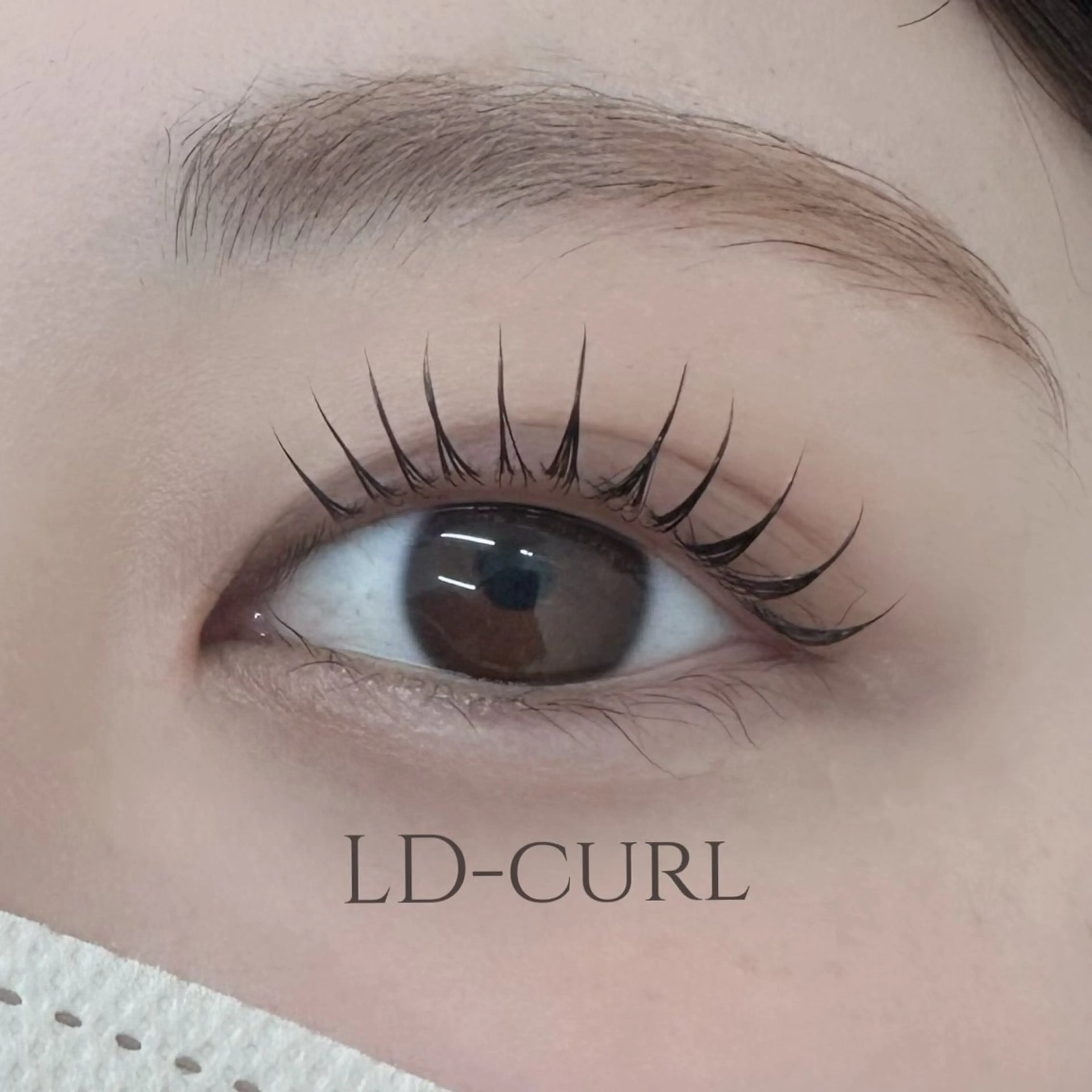 マツエク・マツパ マツパ alice tokyo🌿鈴木のマツエク・マツパデザイン