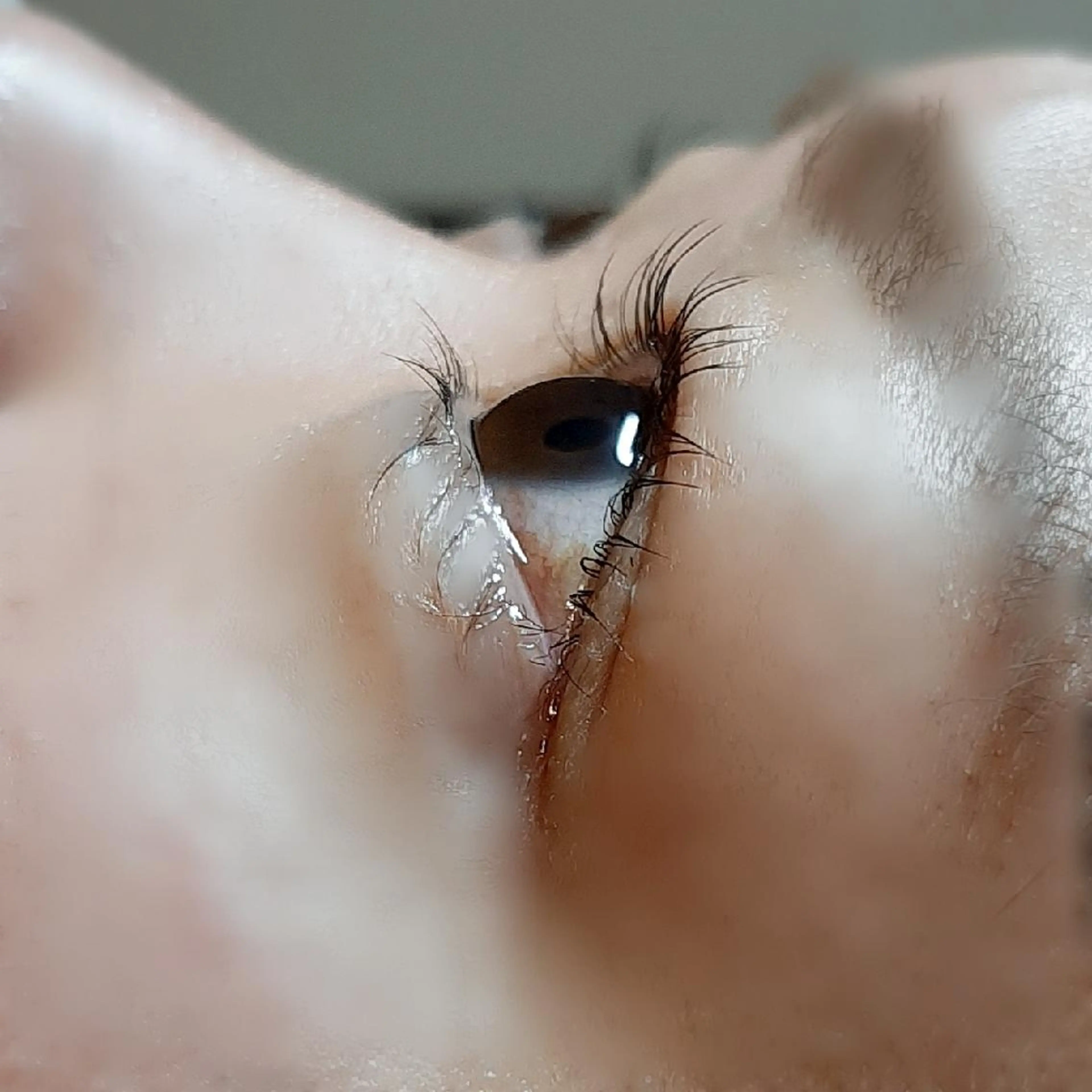 マツエク・マツパ 平山 ゆりのマツエク・マツパデザイン