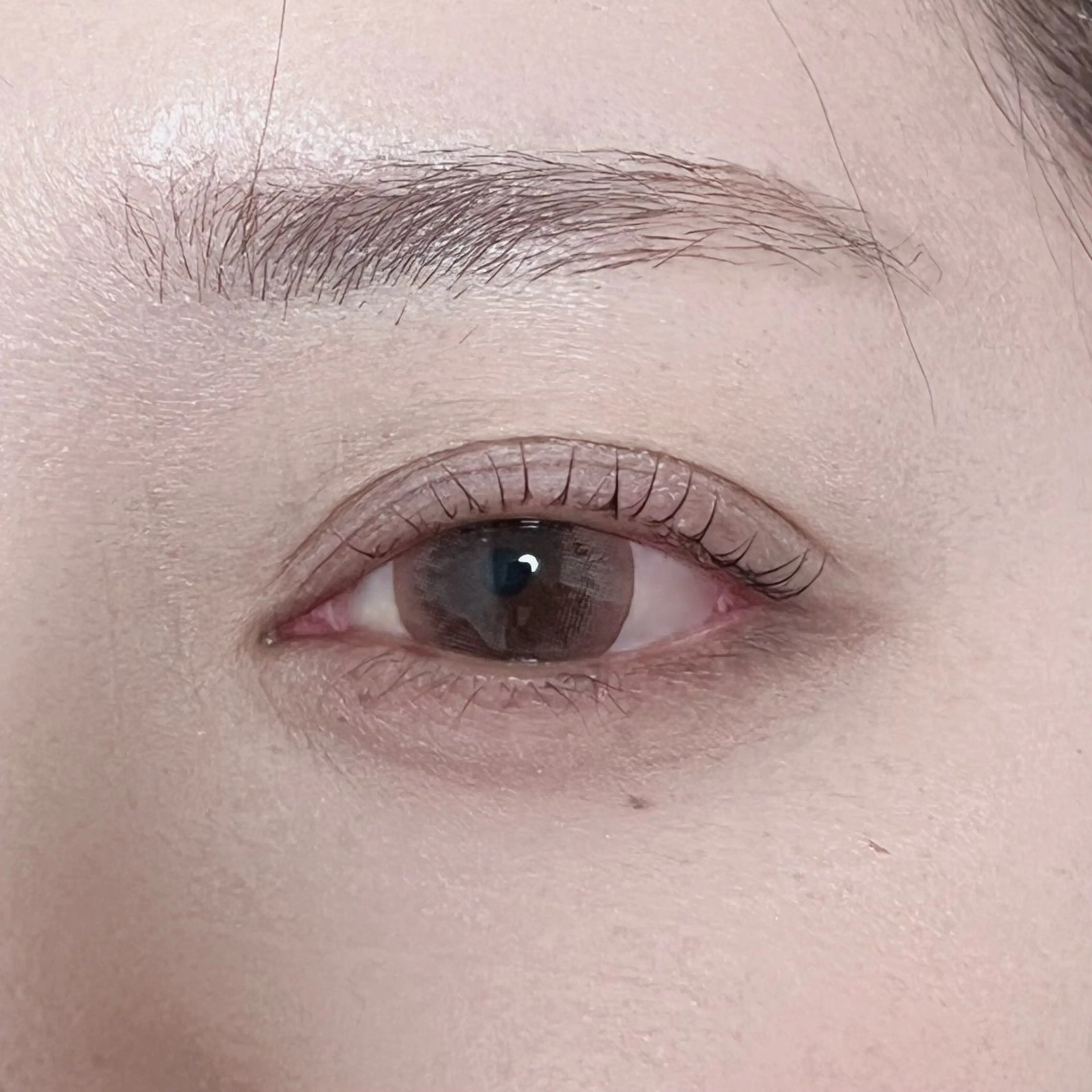 マツエク・マツパ 🍑MOMOKA plusJ 中里🍑のマツエク・マツパデザイン