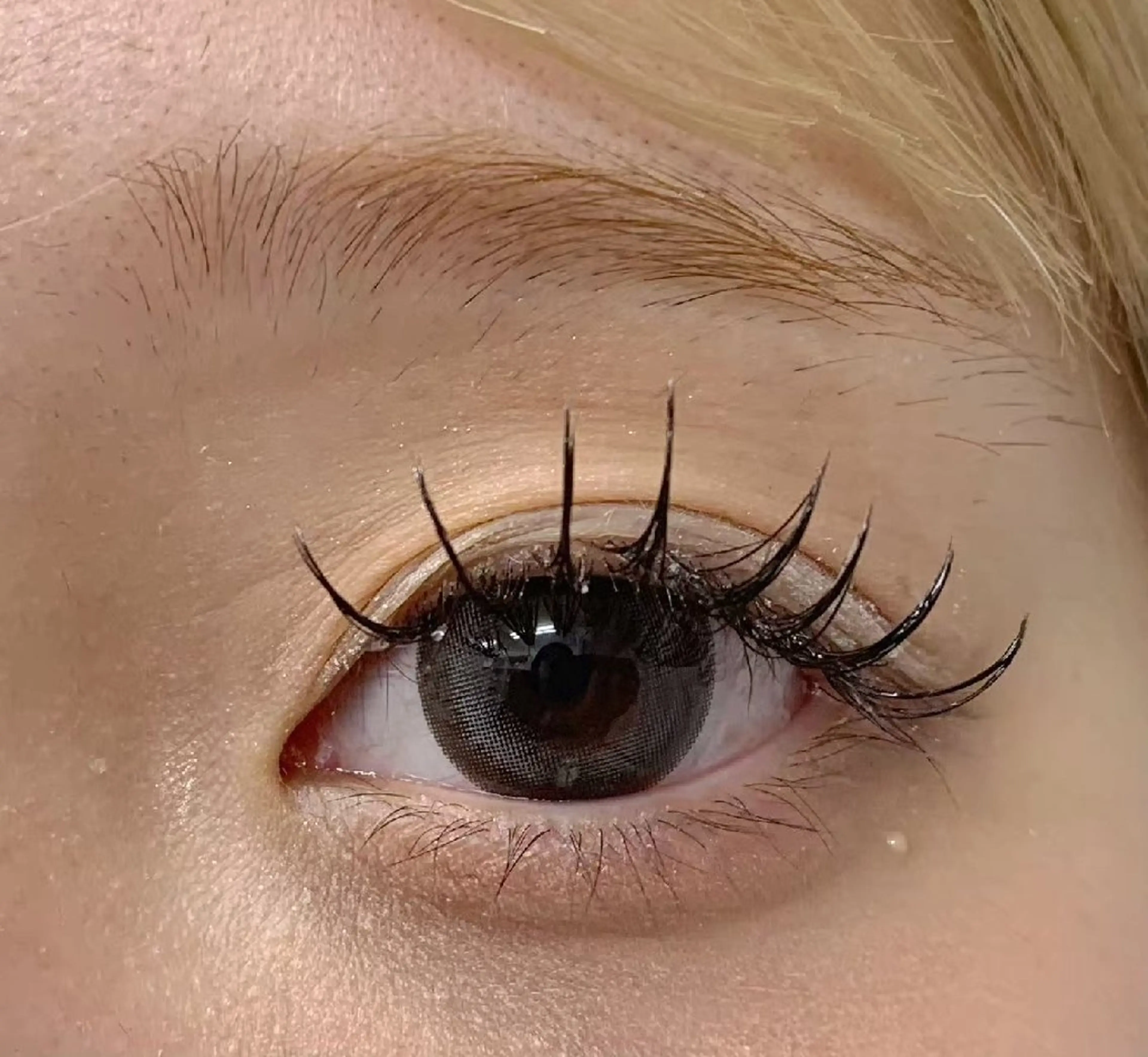 新規メニュー！LEDエクステフラットラッシュ120本(オフ込み)再来➕️500円[現金のみ]の写真