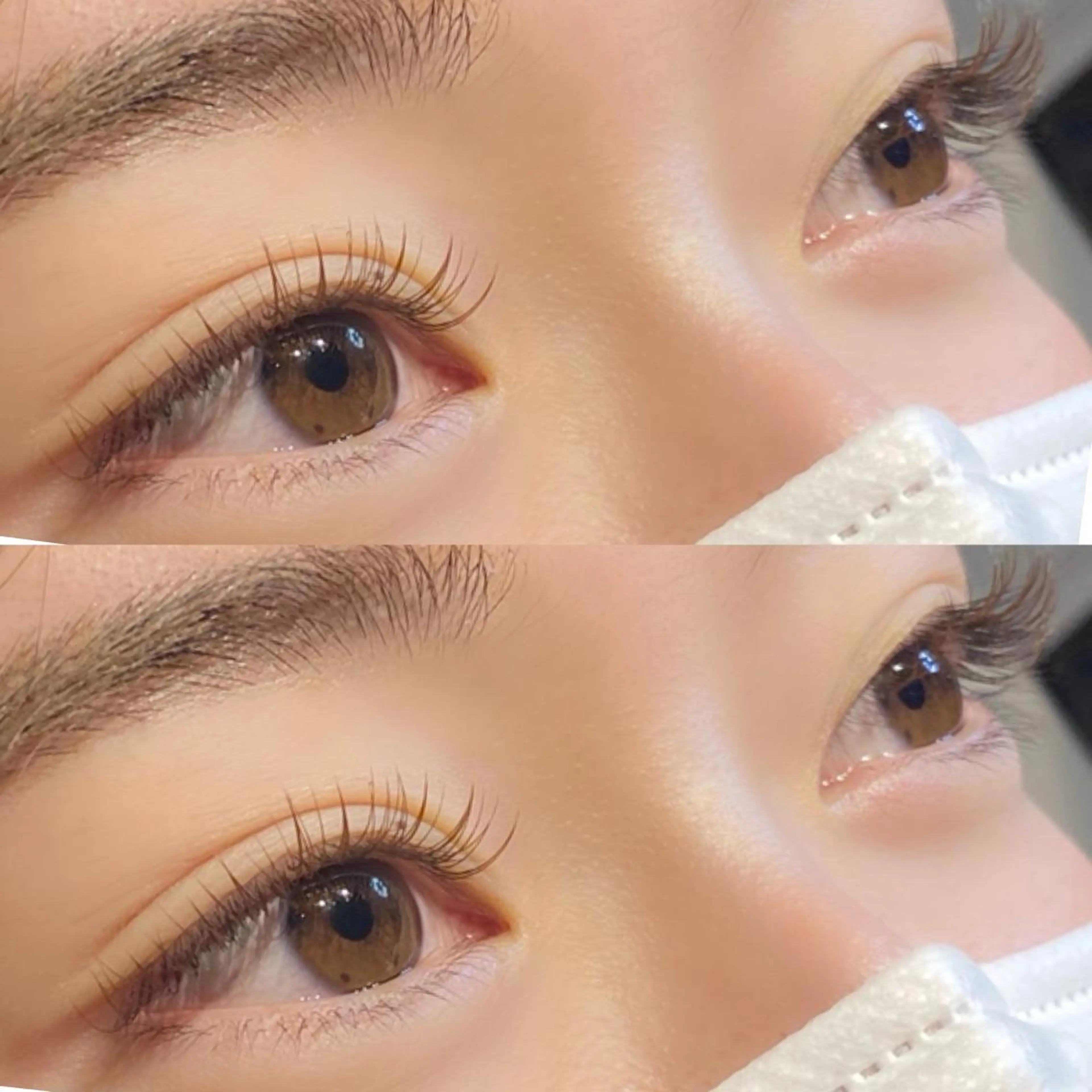 マツエク・マツパ カラーマツエク 【LILY】伊沢/ バインド/パリ/エクのマツエク・マツパデザイン