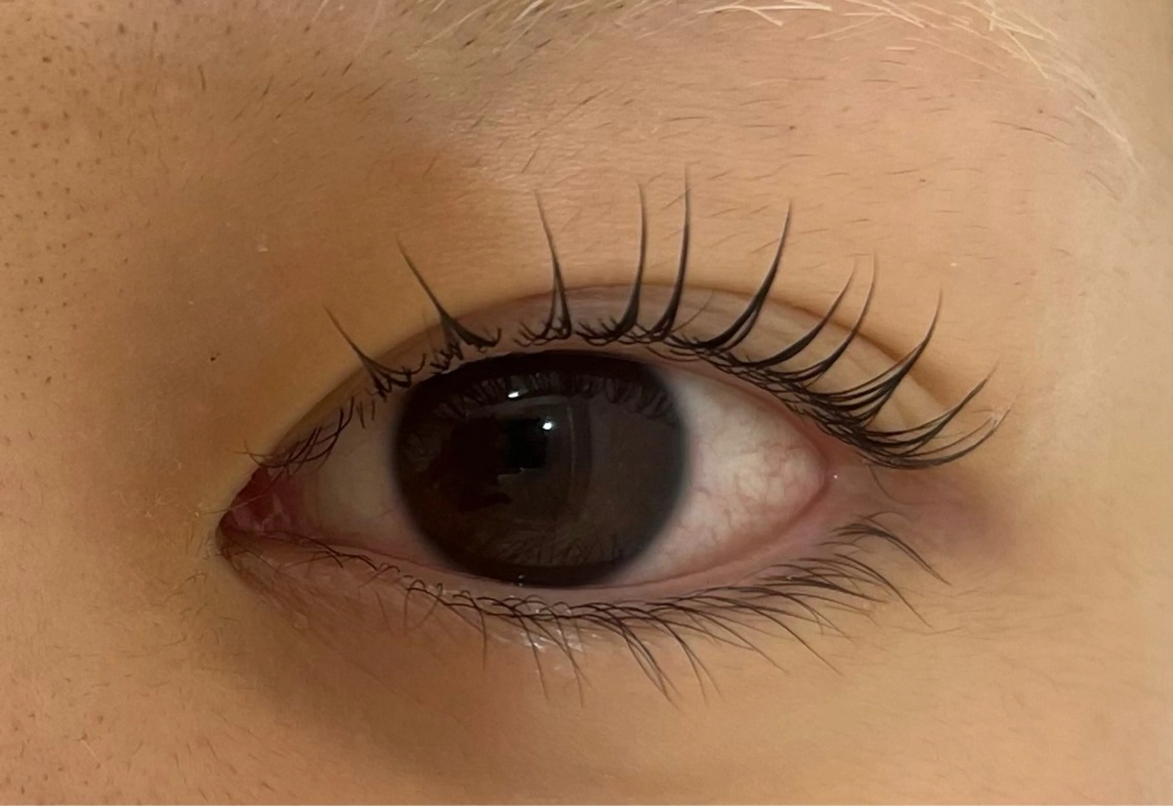 マツエク・マツパ PLATINUM DOLLことねのマツエク・マツパデザイン