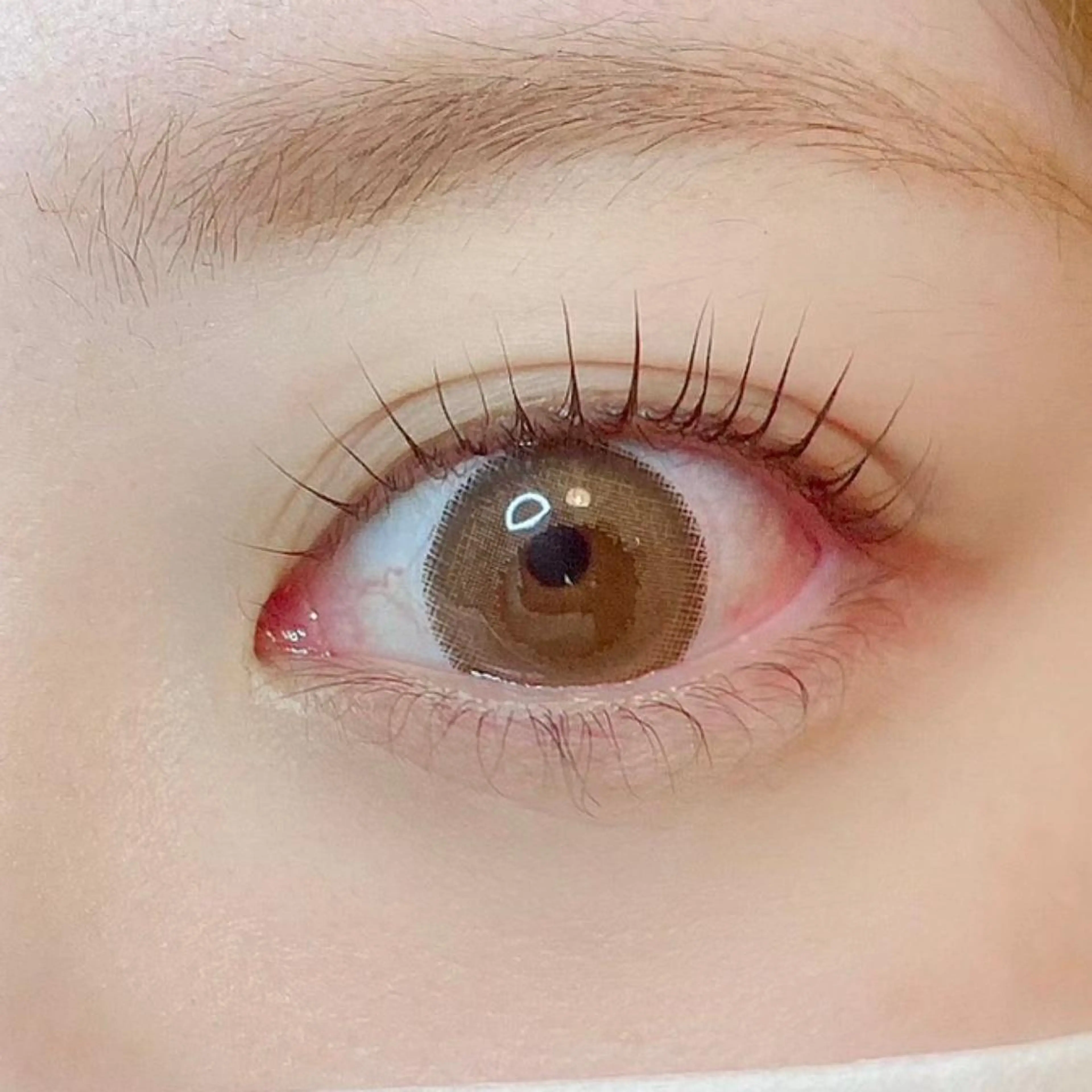 マツエク・マツパ 韓国風マツエク パリジェンヌラッシュリフト まつげパーマ 一重×まつ毛パーマ ワンホンマツエク erica💐 ma'amのマツエク・マツパデザイン