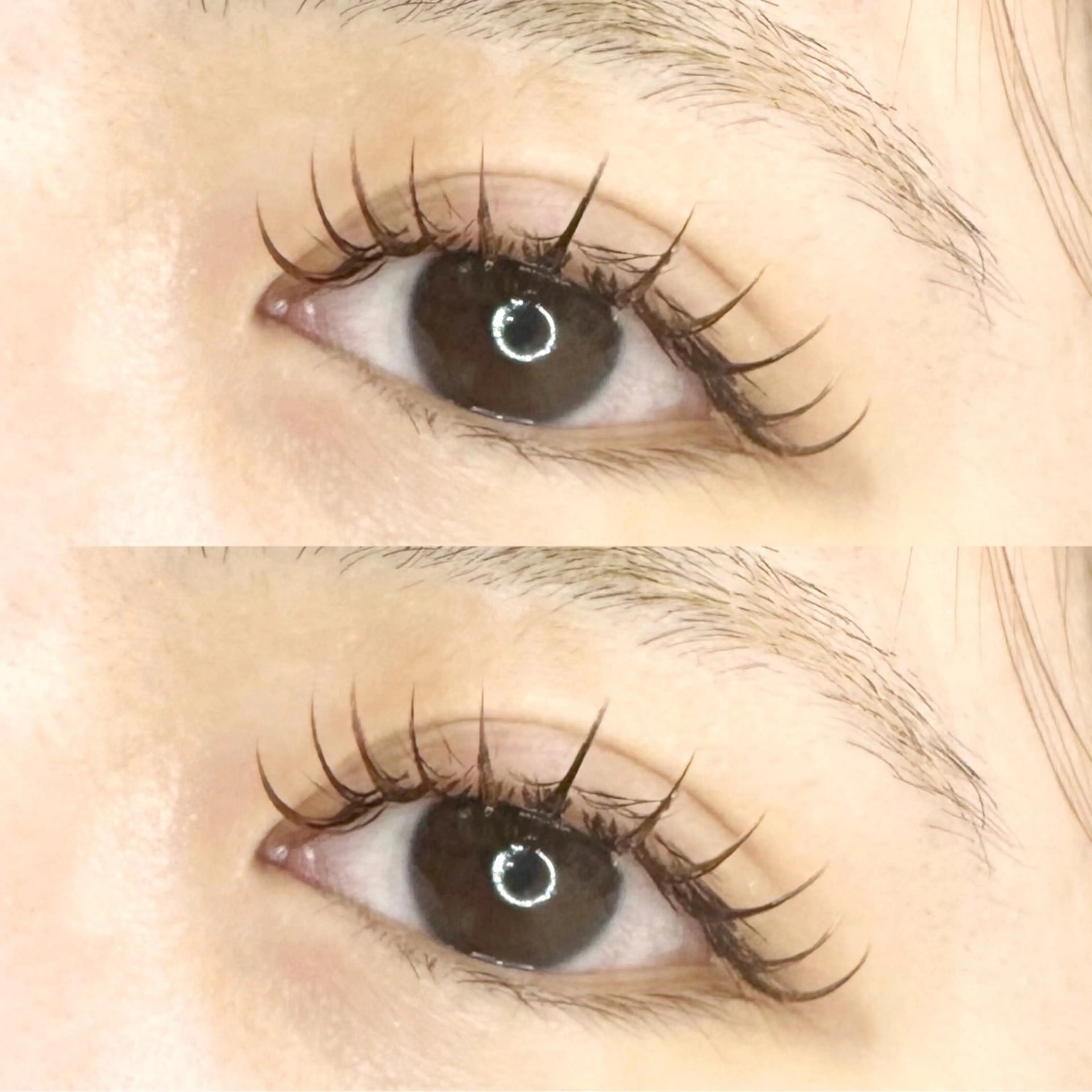 🎀フラットセーブル140本🎀デザインお選びいただきます！(カラー変更プラス1500円)の写真