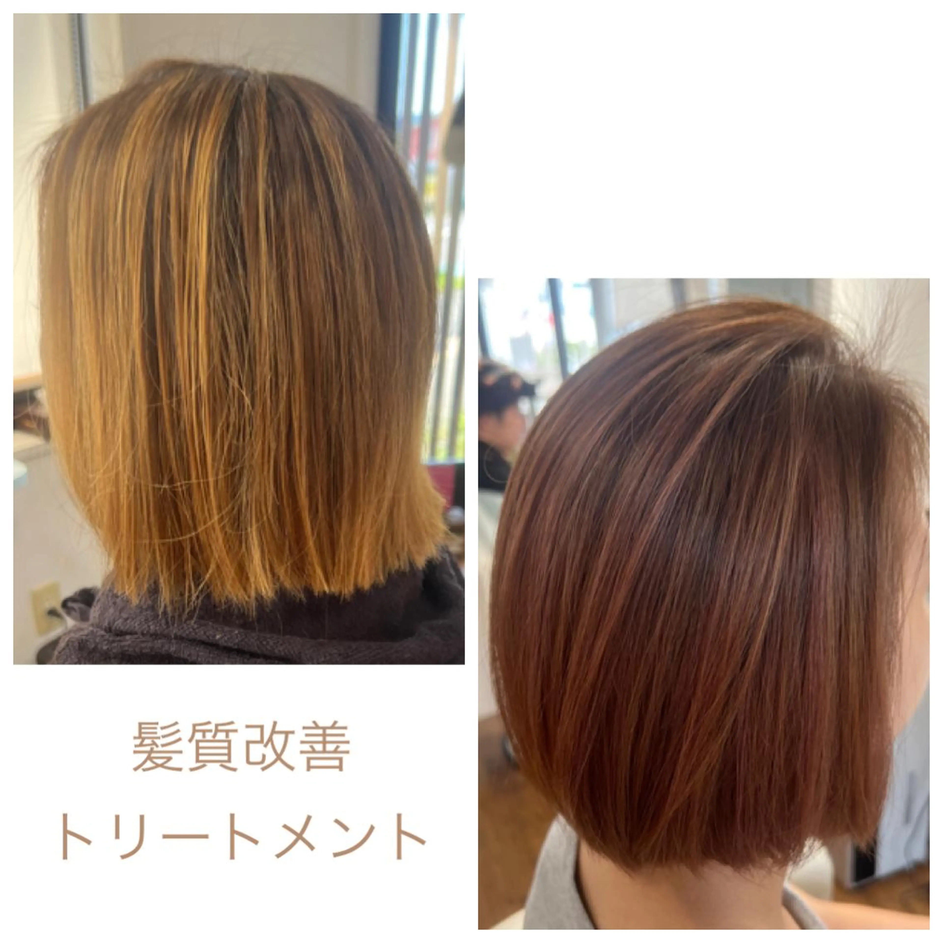 ショート Tendre Rêveのマツエク・マツパデザイン