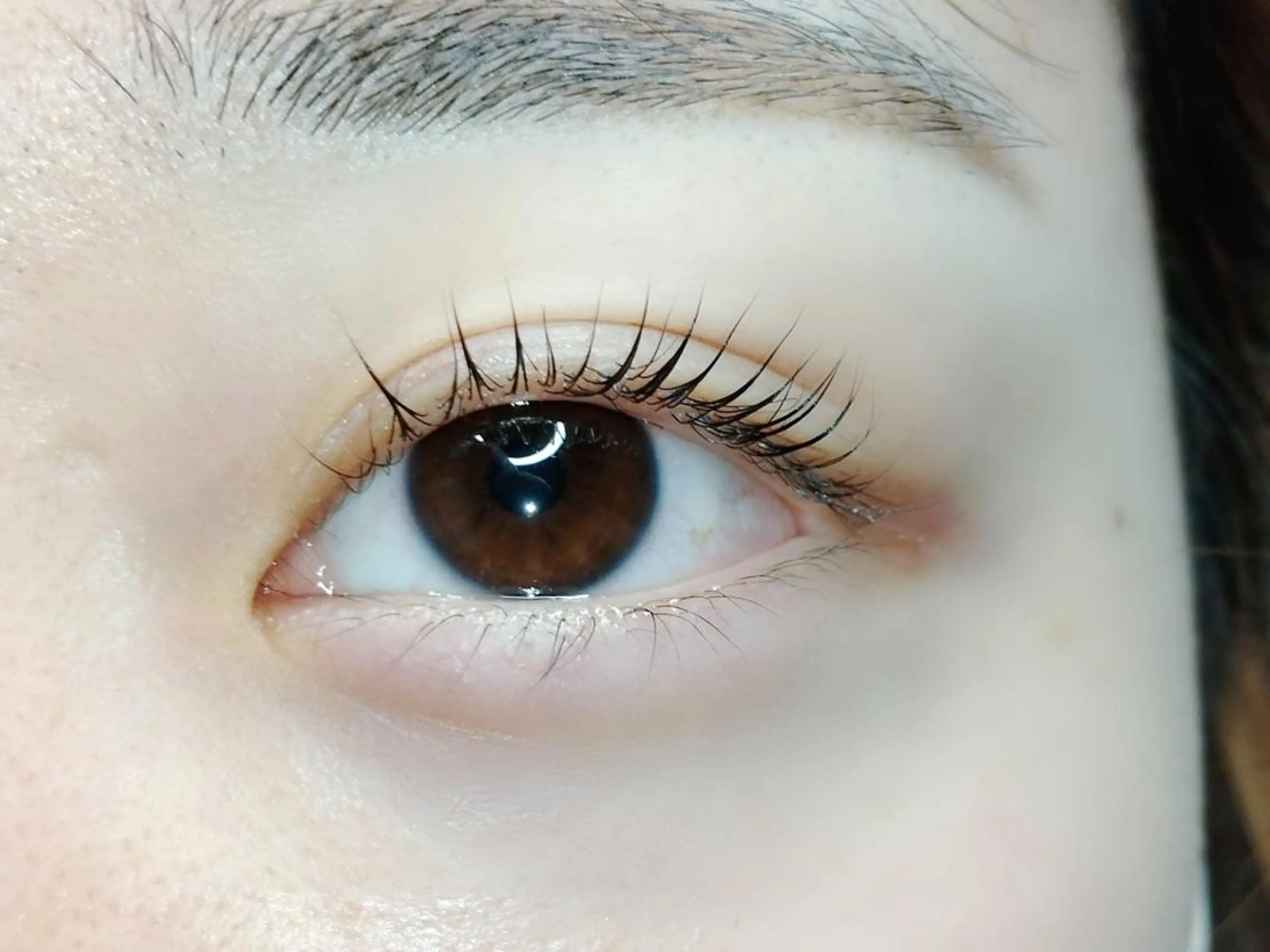 マツエク・マツパ ナチュラル 一重×まつ毛パーマ マツパ maison calmeのマツエク・マツパデザイン