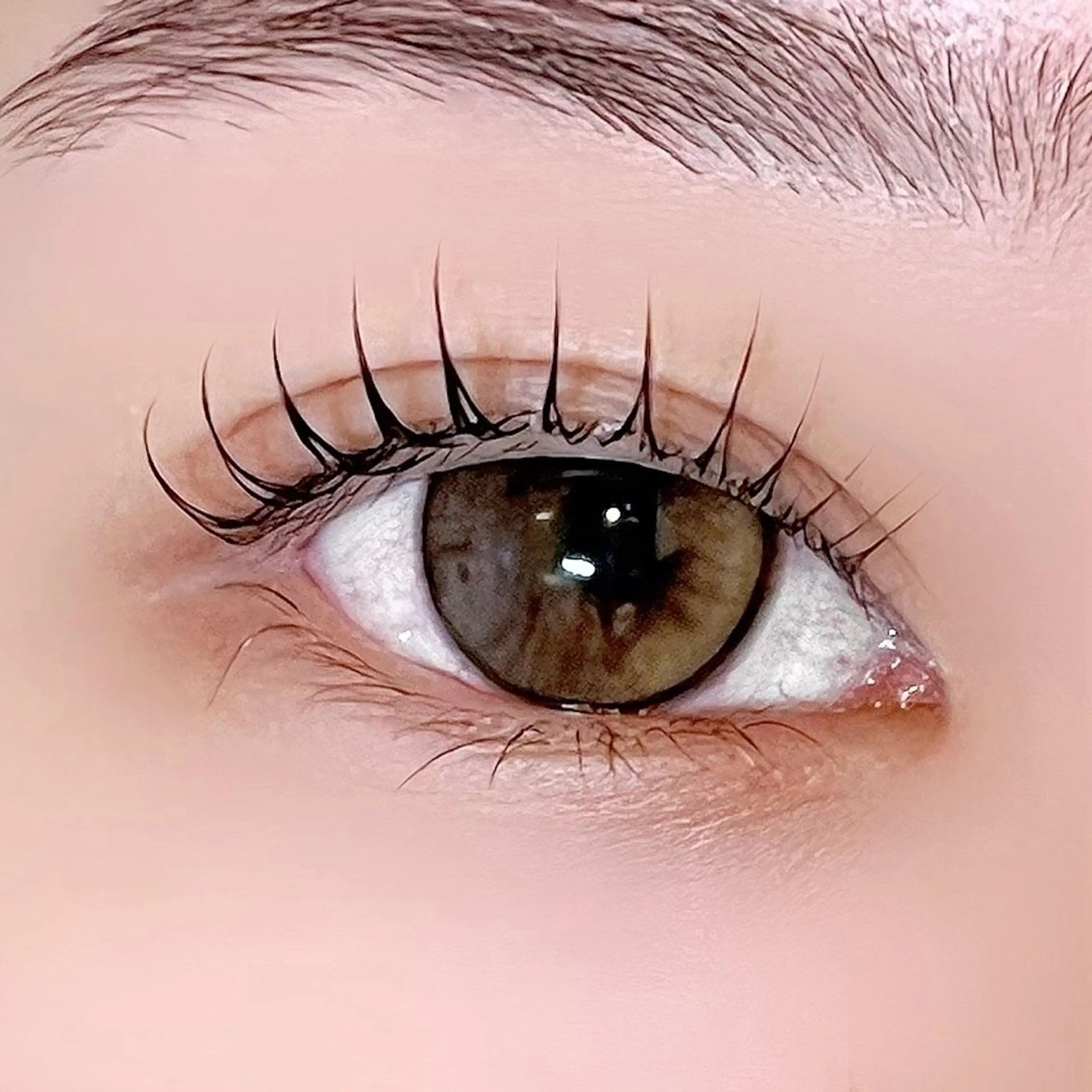 【新規限定】まつ毛パーマ🫧　　　　　　　　　　　　　　（補修トリートメント付き）の写真