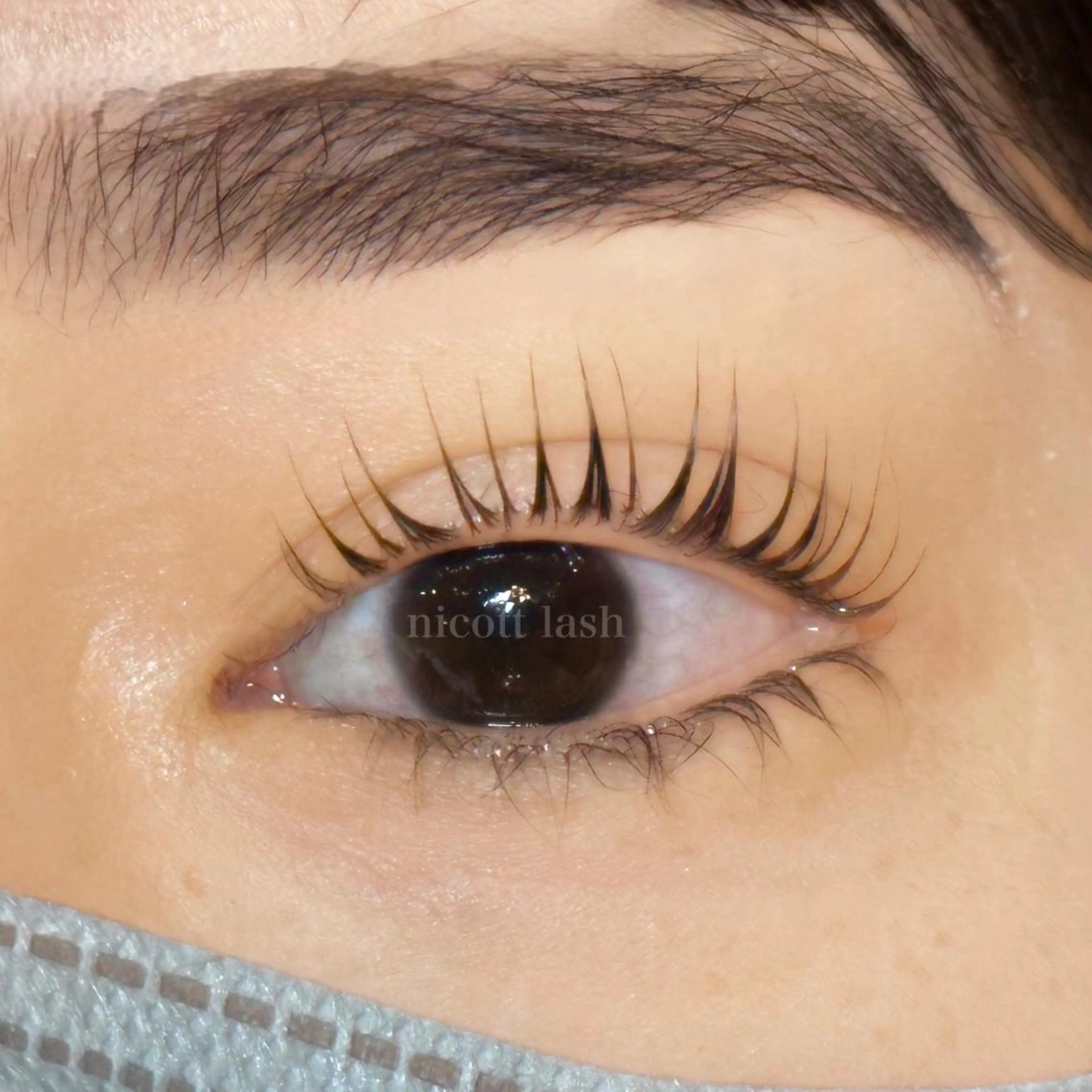 マツエク・マツパ パリジェンヌラッシュリフト nicott 篠田のマツエク・マツパデザイン