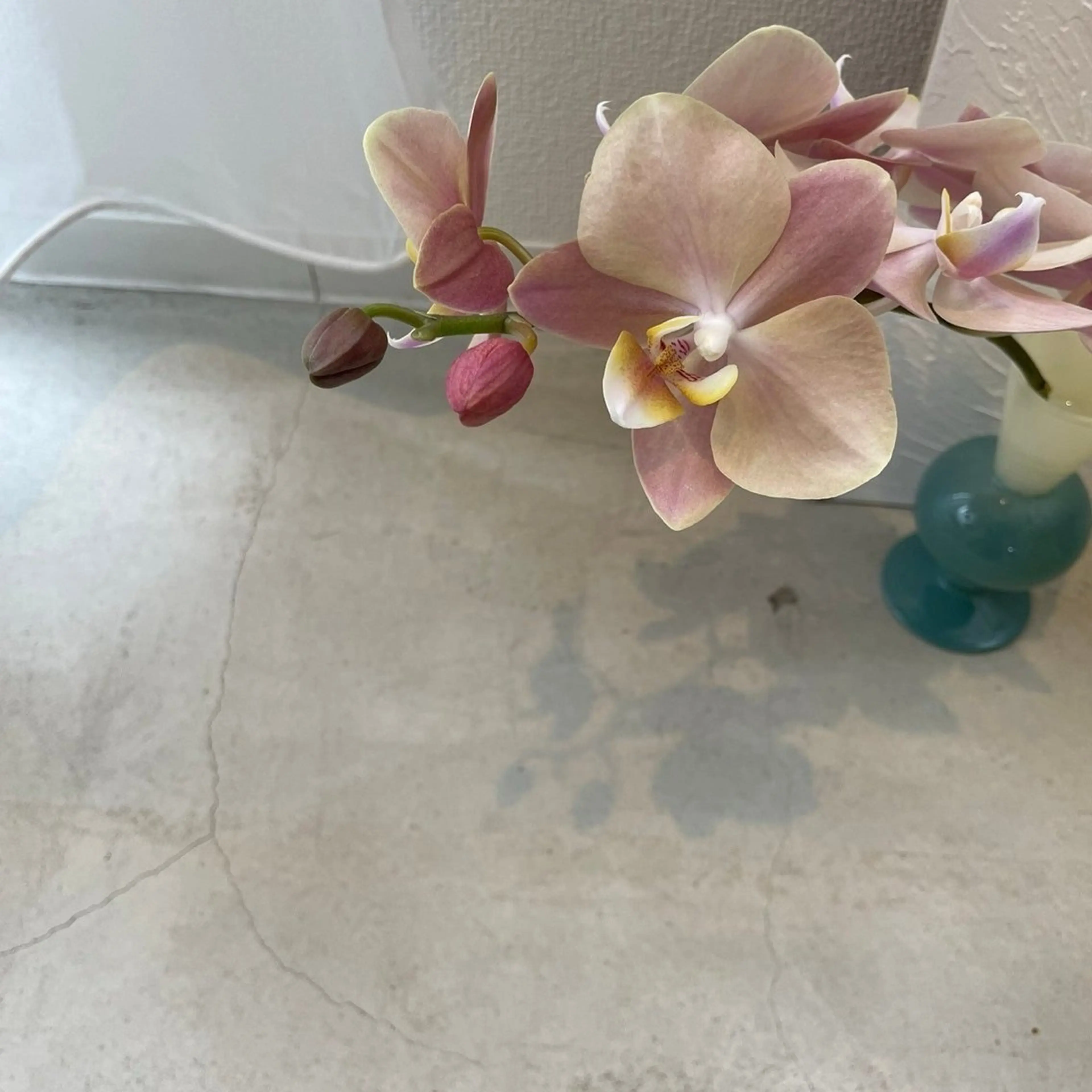 アイブロウ タカシマ ユウカのマツエク・マツパデザイン