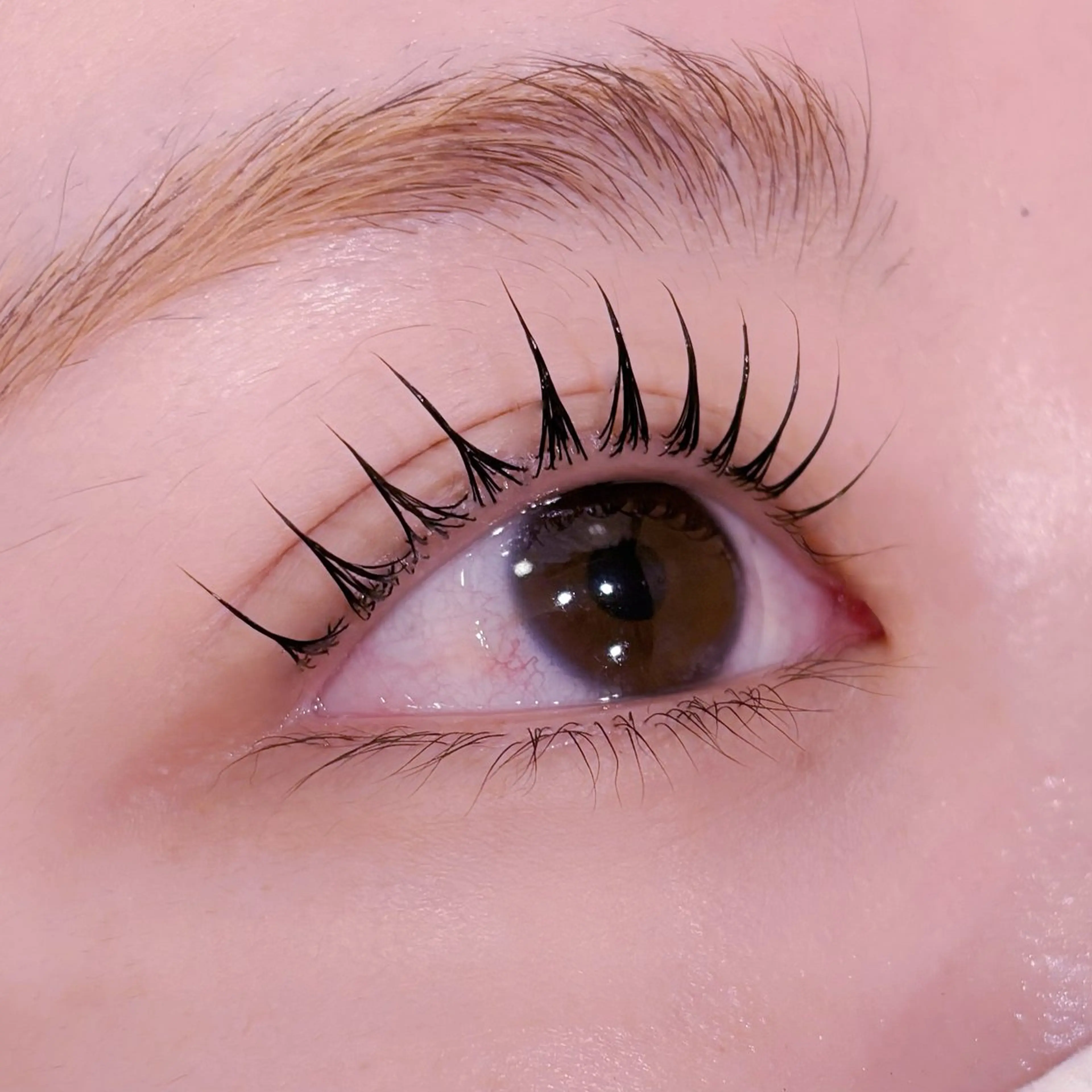 マツエク・マツパ マツパ pono大宮東口店 店長🩰AOHA🩰のマツエク・マツパデザイン