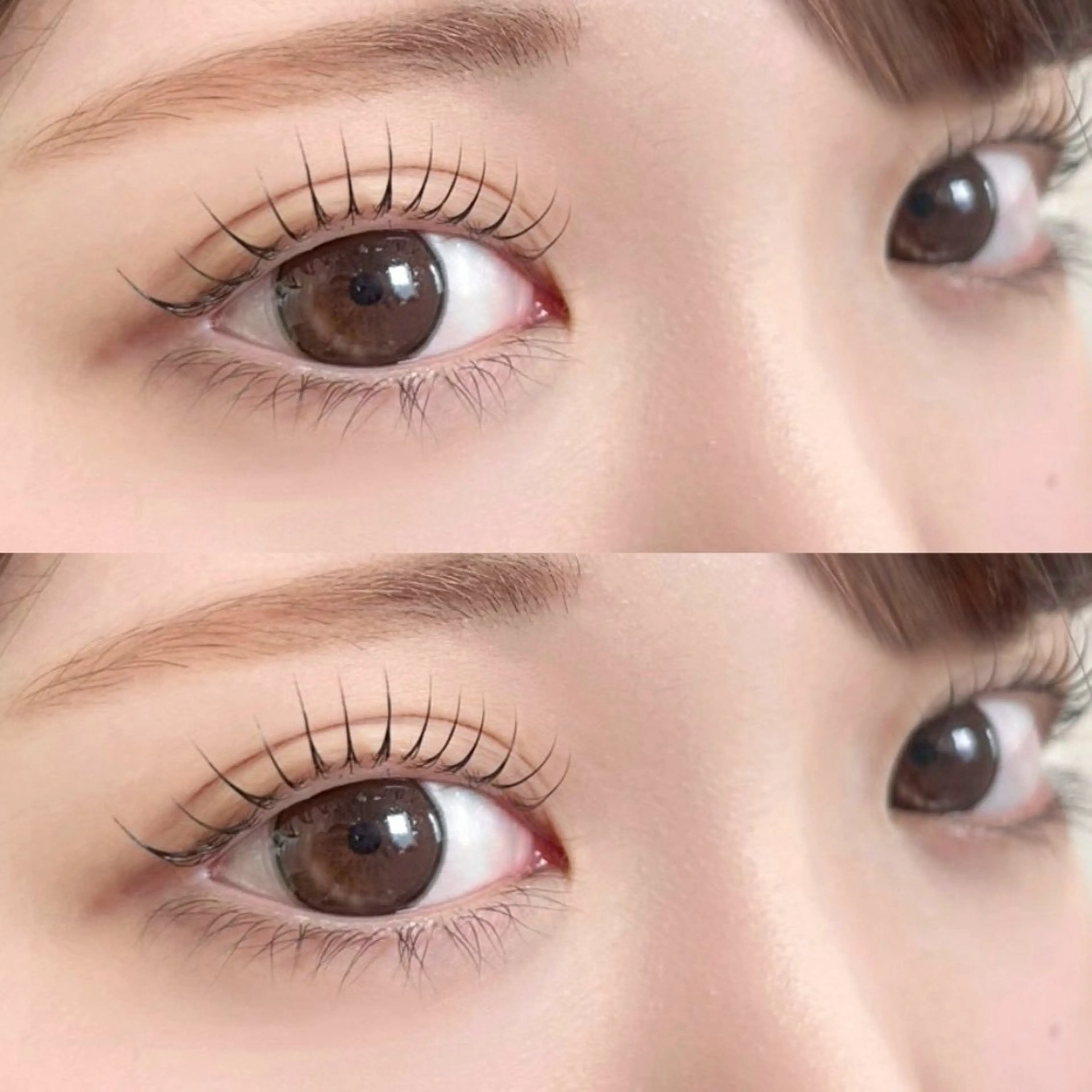 🧡【中野駅】1分🧡 まつ毛パーマ(上)無料練習モデルの写真