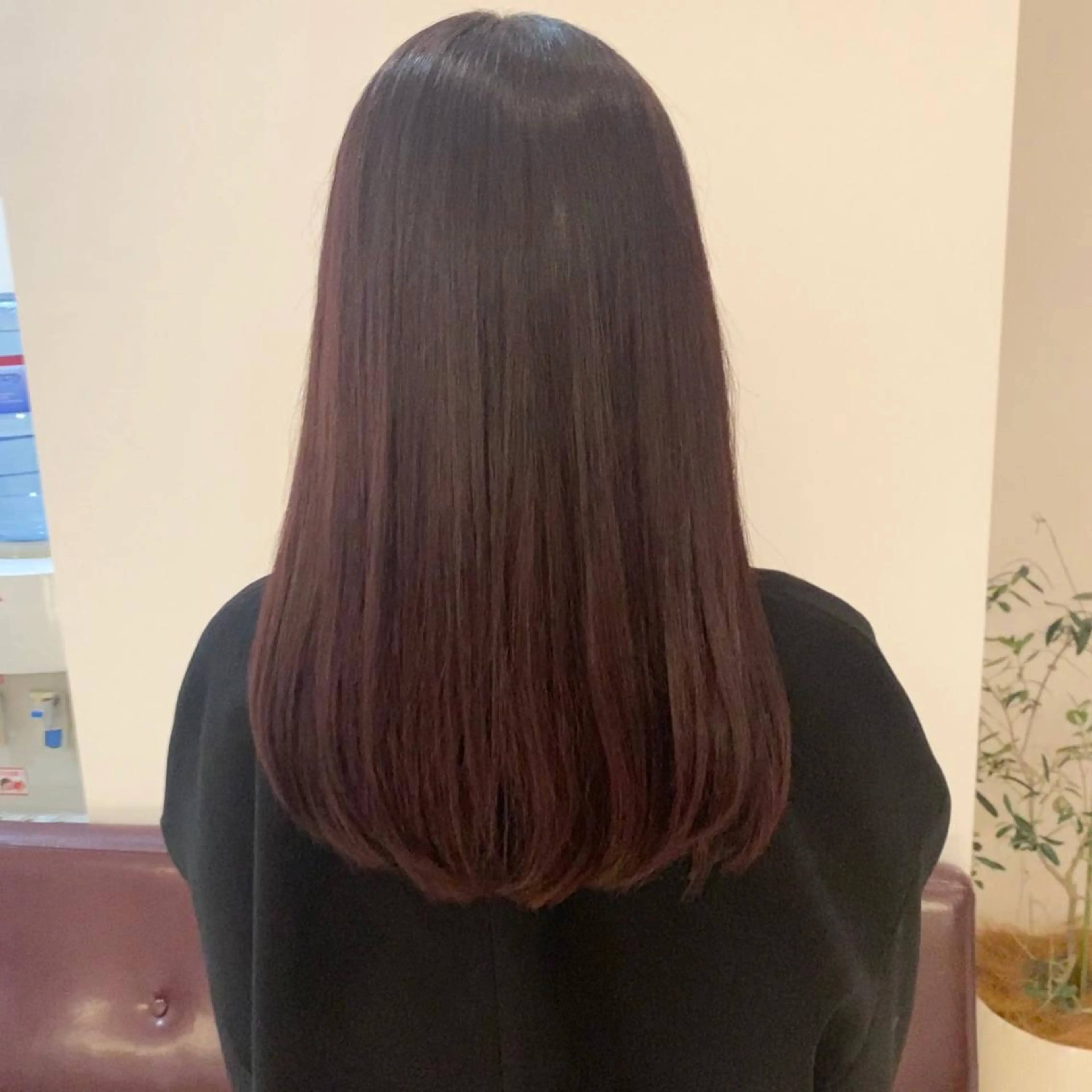 カット　イルミナカラー　ハホニコトリートメントの写真