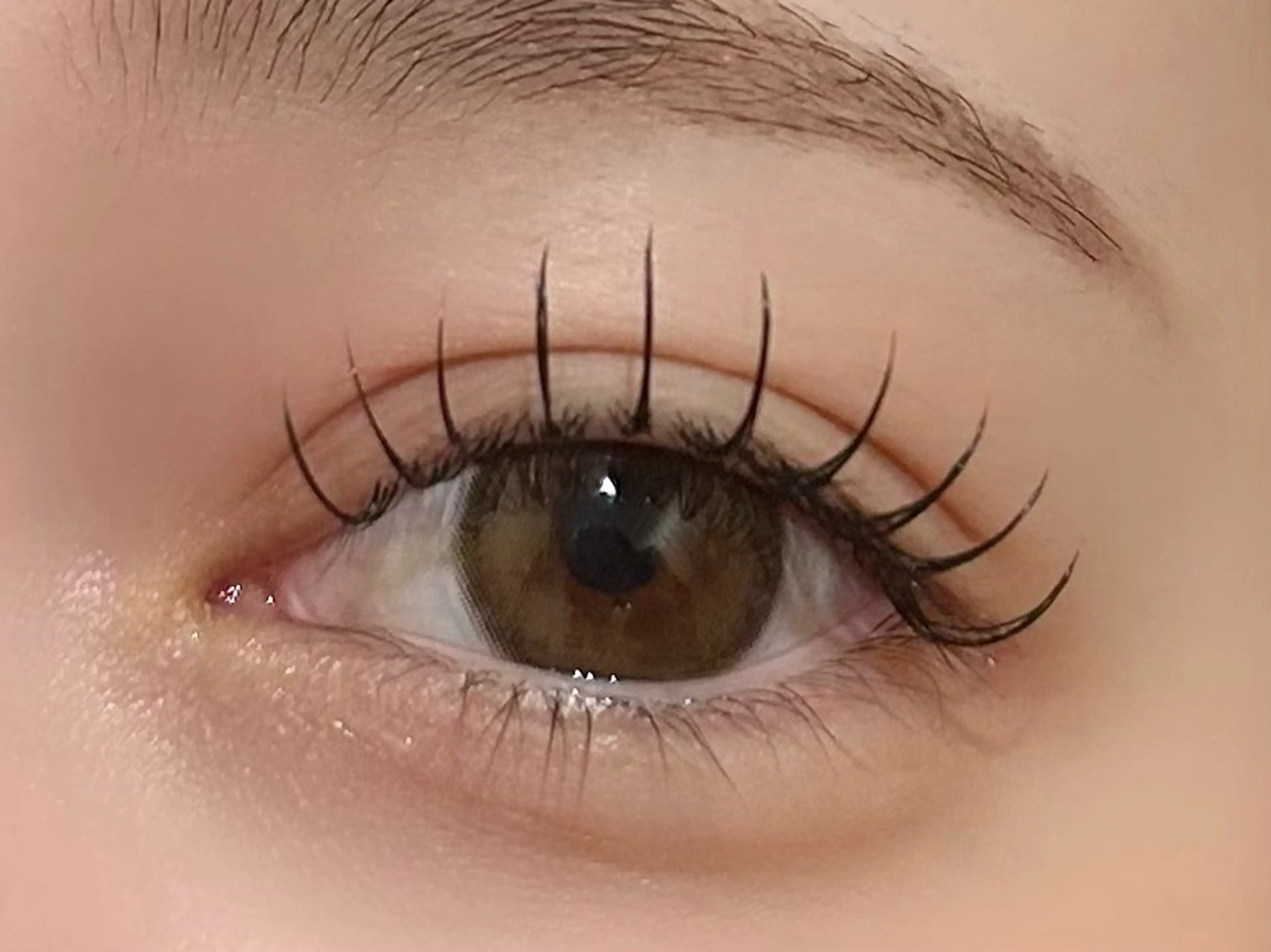 マツエク・マツパ フラットラッシュ 𝗲𝗶𝗴𝗵𝘁 𝗛𝗢𝗡𝗗𝗔のマツエク・マツパデザイン