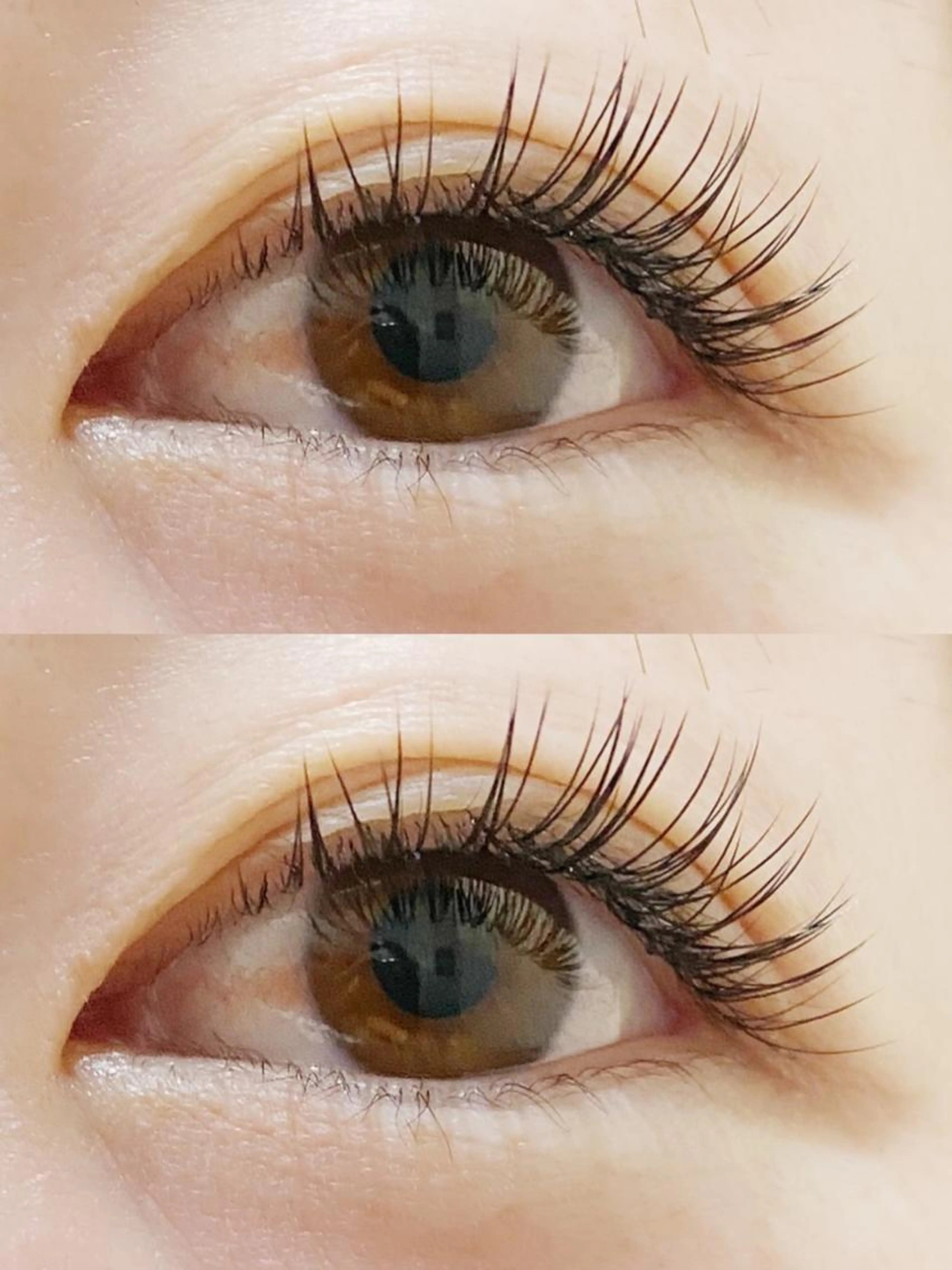 🤍フラットラッシュエクステ100本🤍の写真