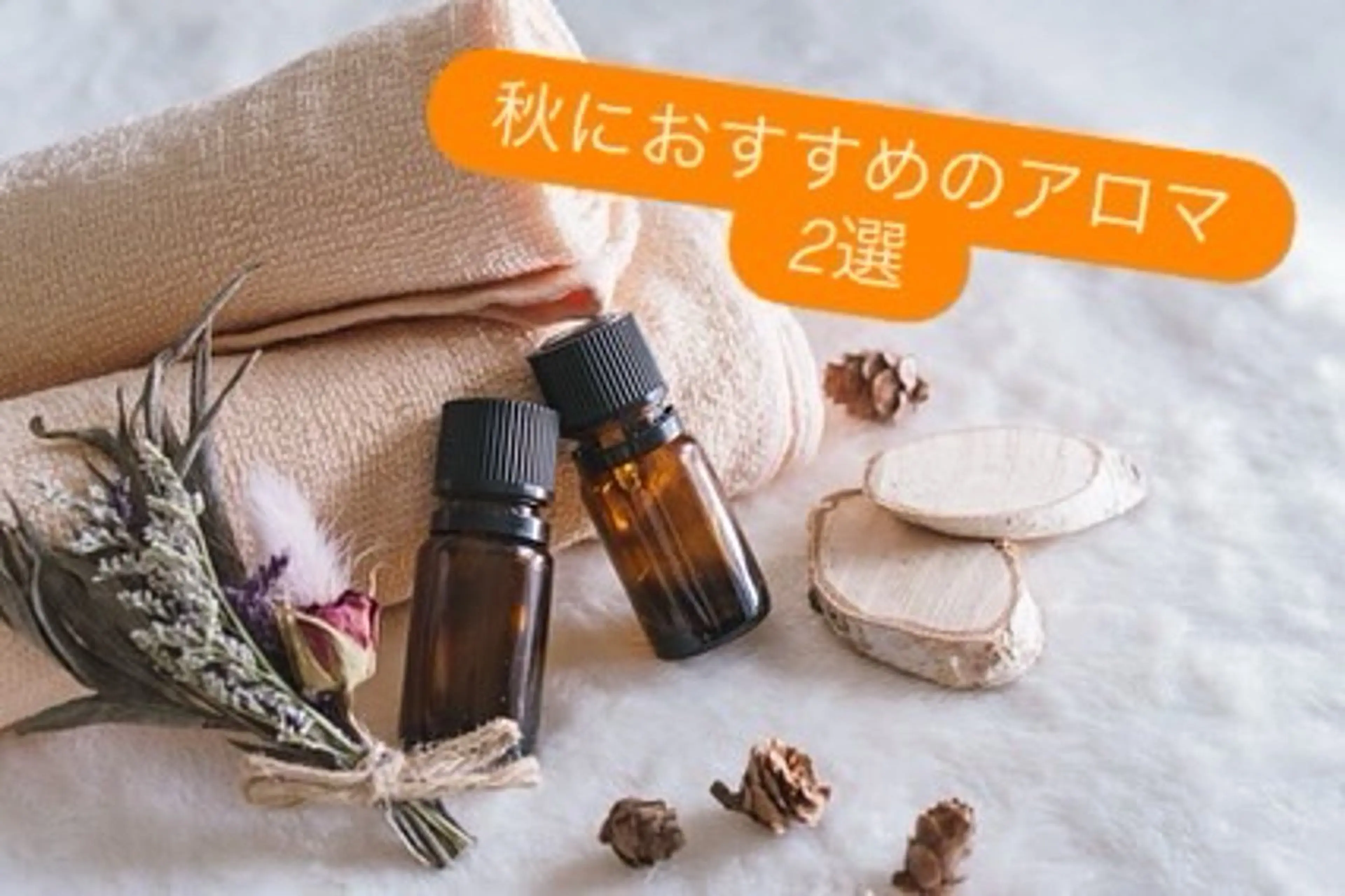 リラク 出張リラク/ペット 空 -sora-のエステ・リラクイメージ