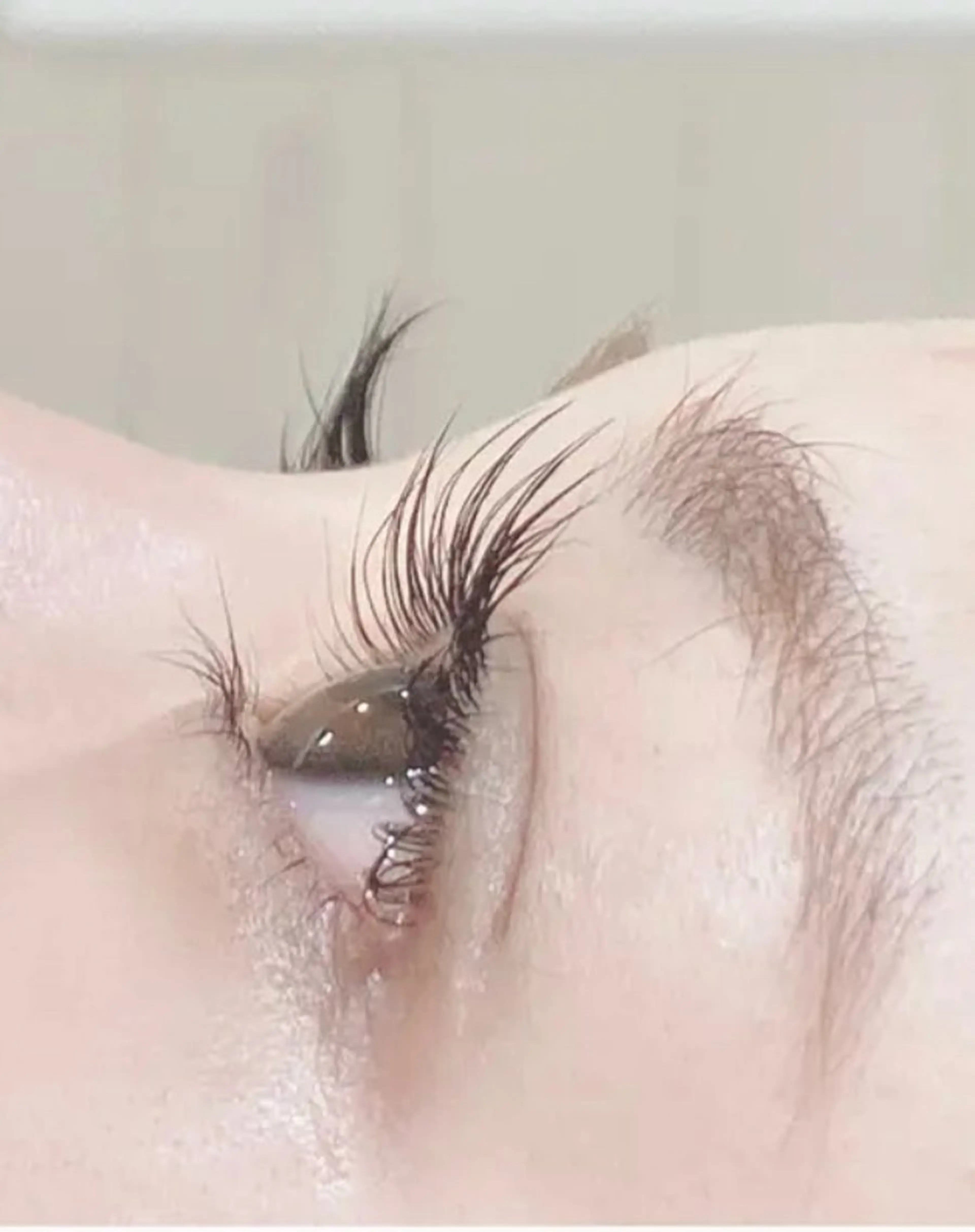 新ラッシュリフト+トリートメントの写真