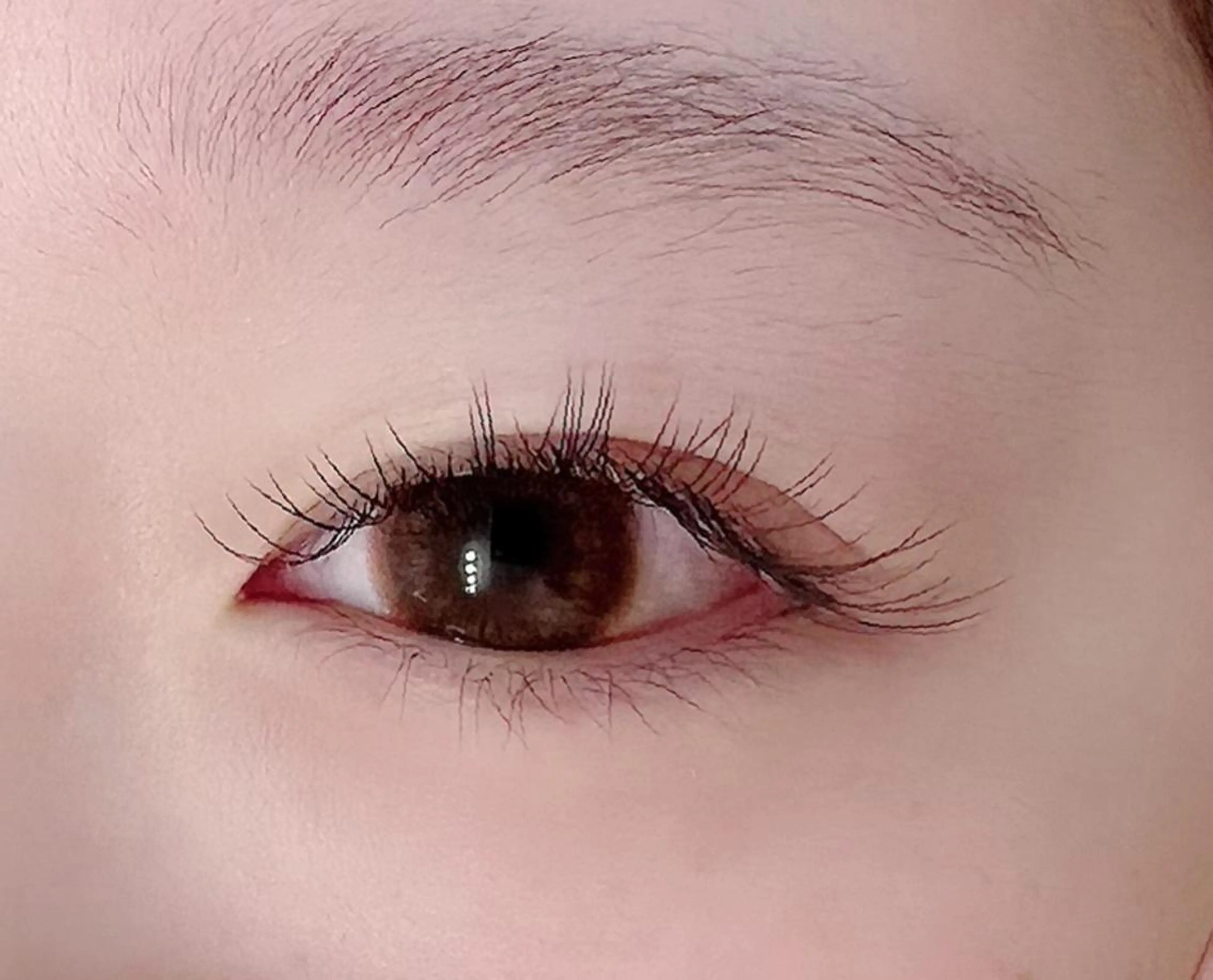 フラットラッシュ100本の写真